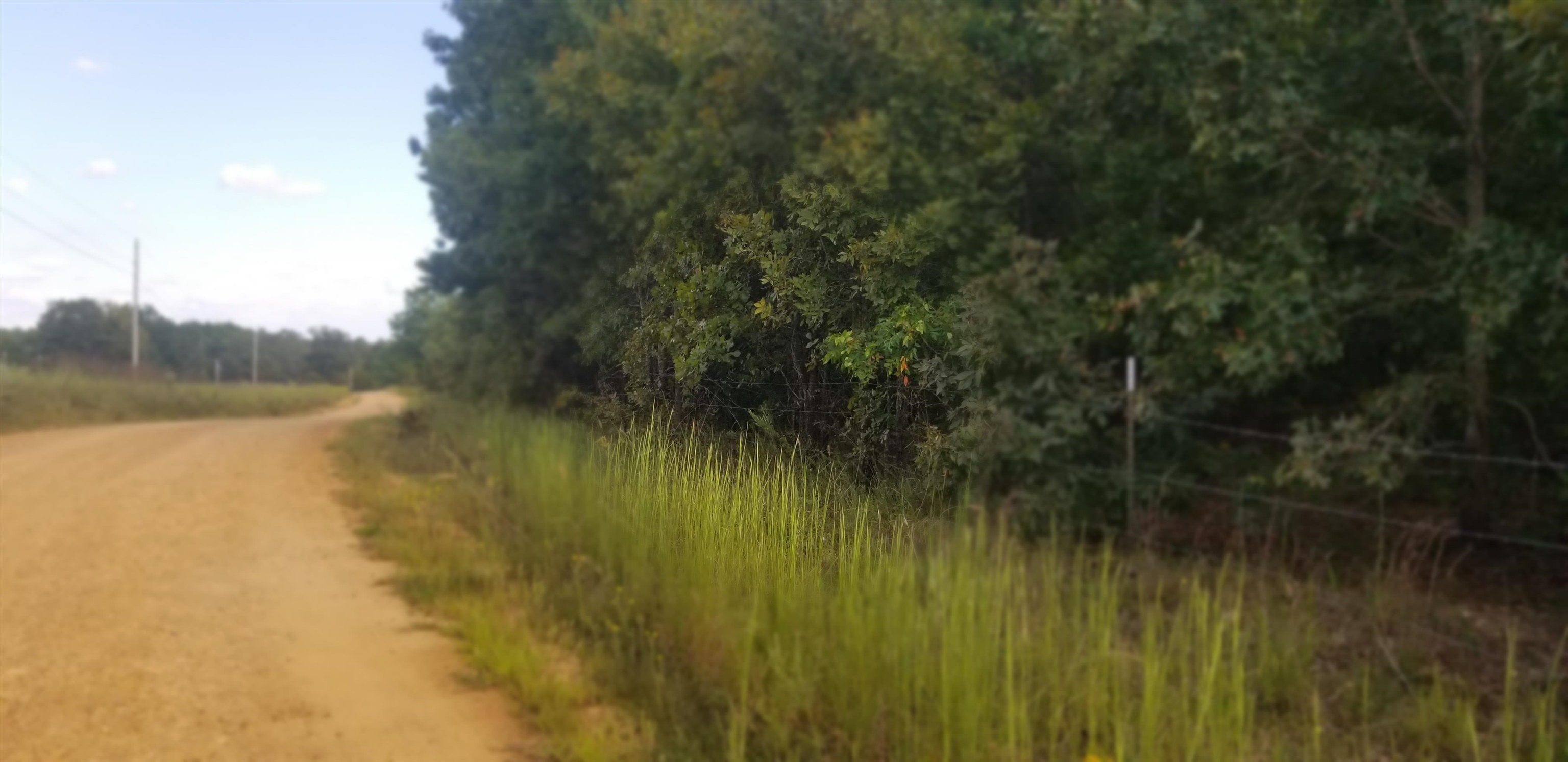 3445 Magnolia Road Salem, AR 72576