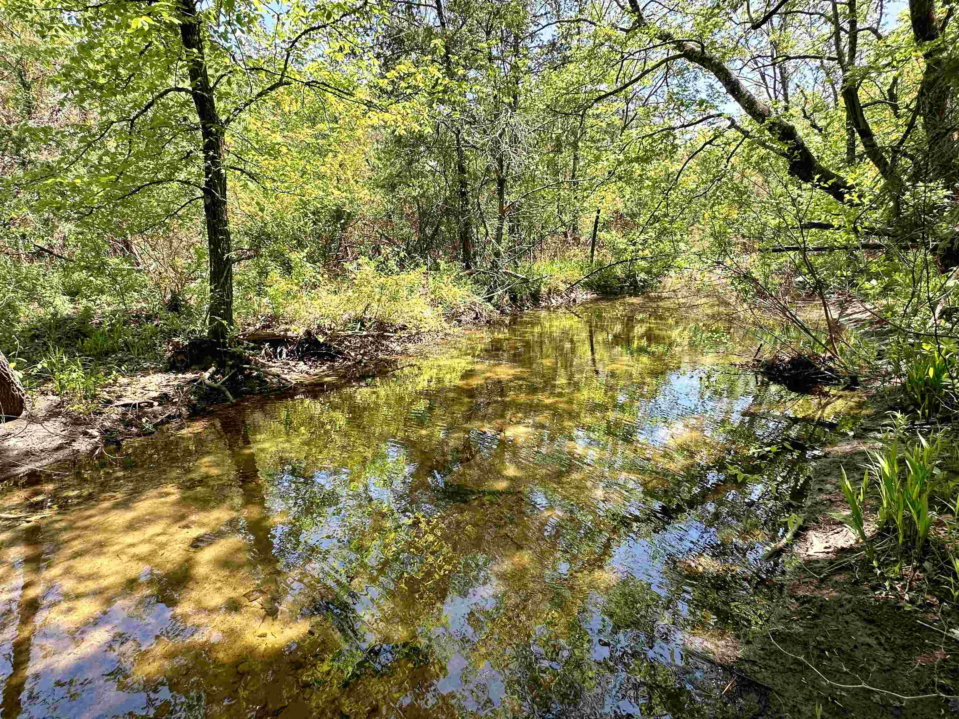 000 N Boswell Road  Calico Rock, AR