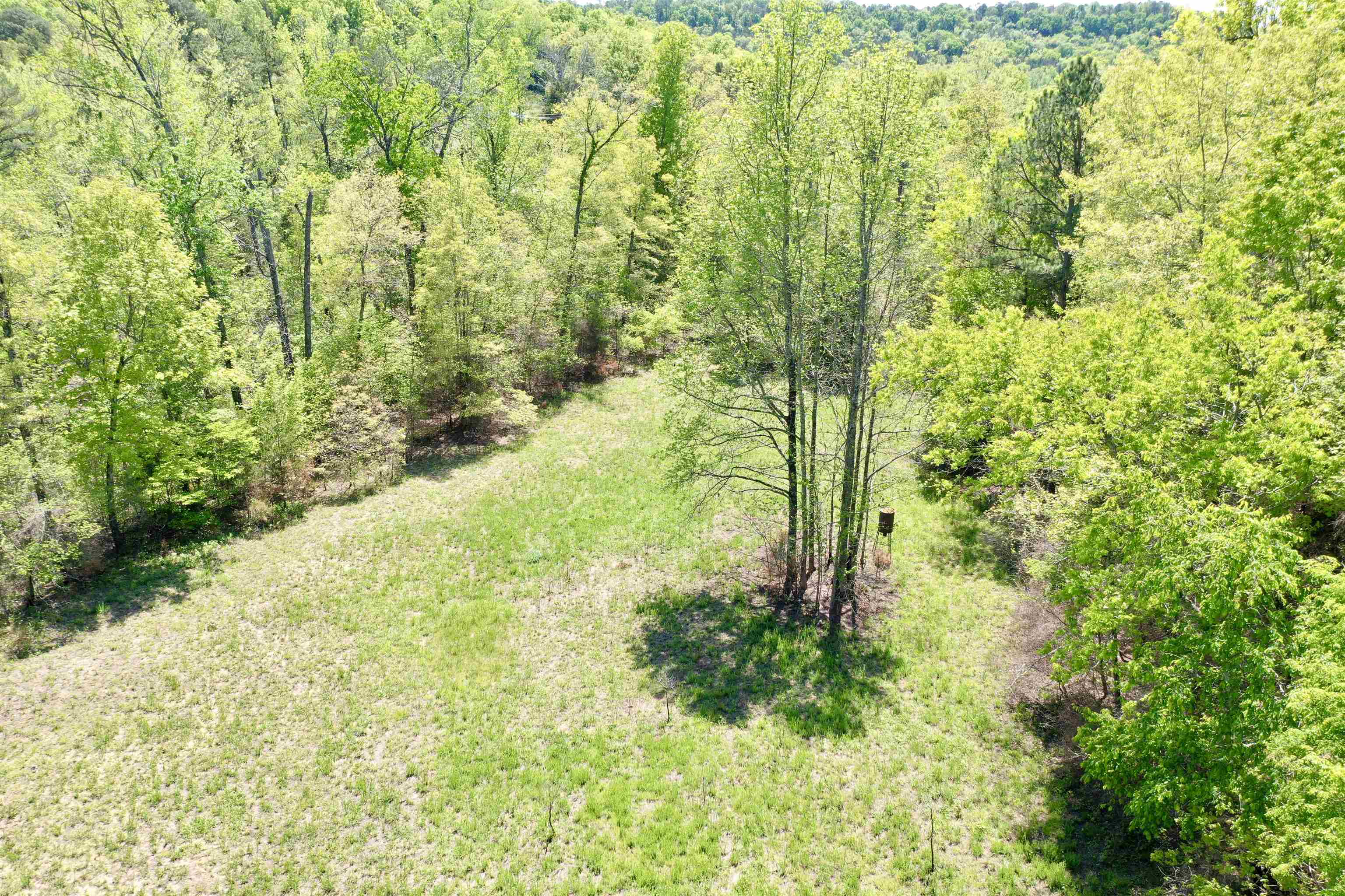 000 N Boswell Road  Calico Rock, AR