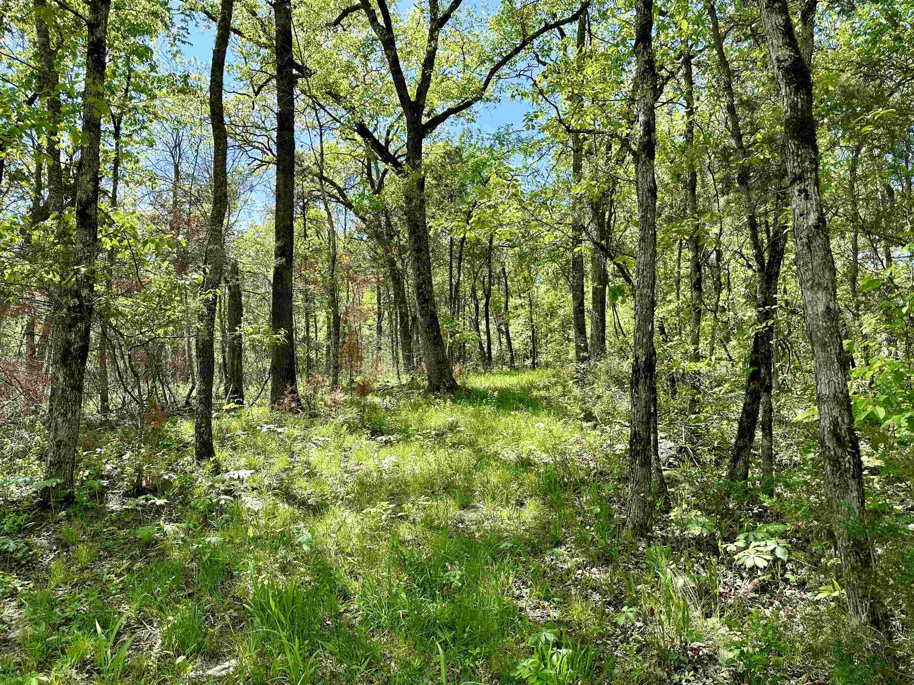 000 N Boswell Road  Calico Rock, AR