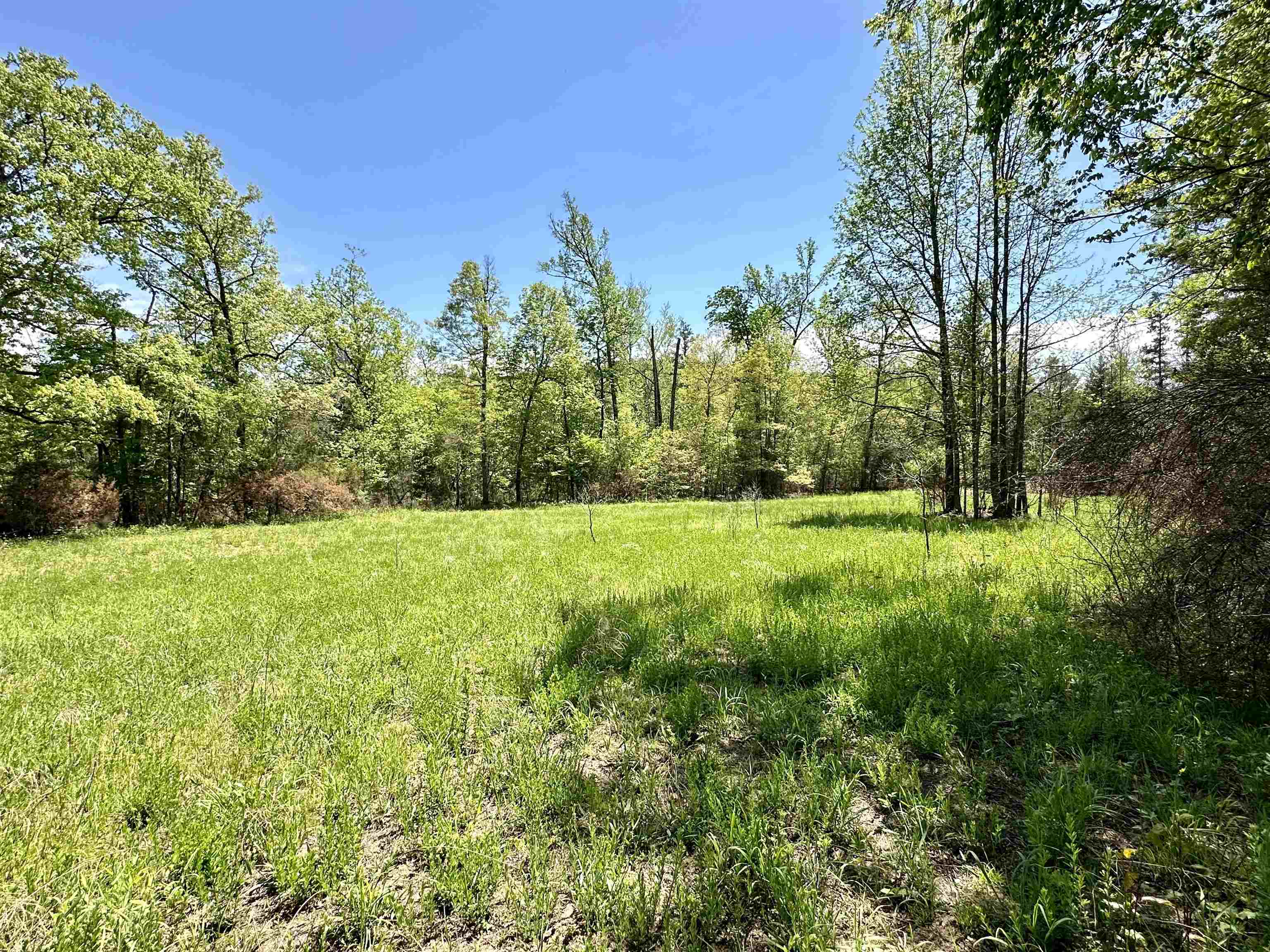 000 N Boswell Road  Calico Rock, AR
