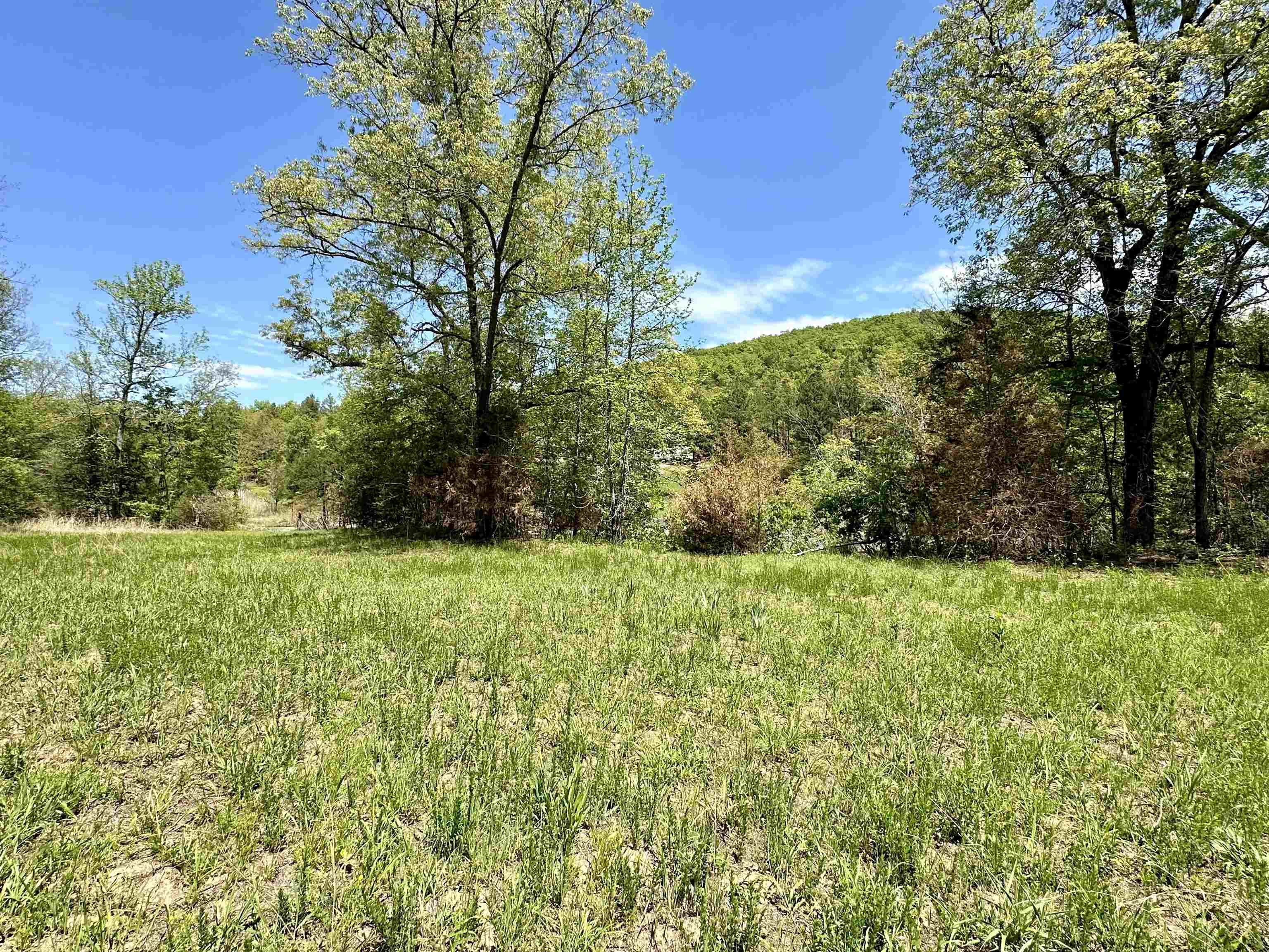 000 N Boswell Road  Calico Rock, AR