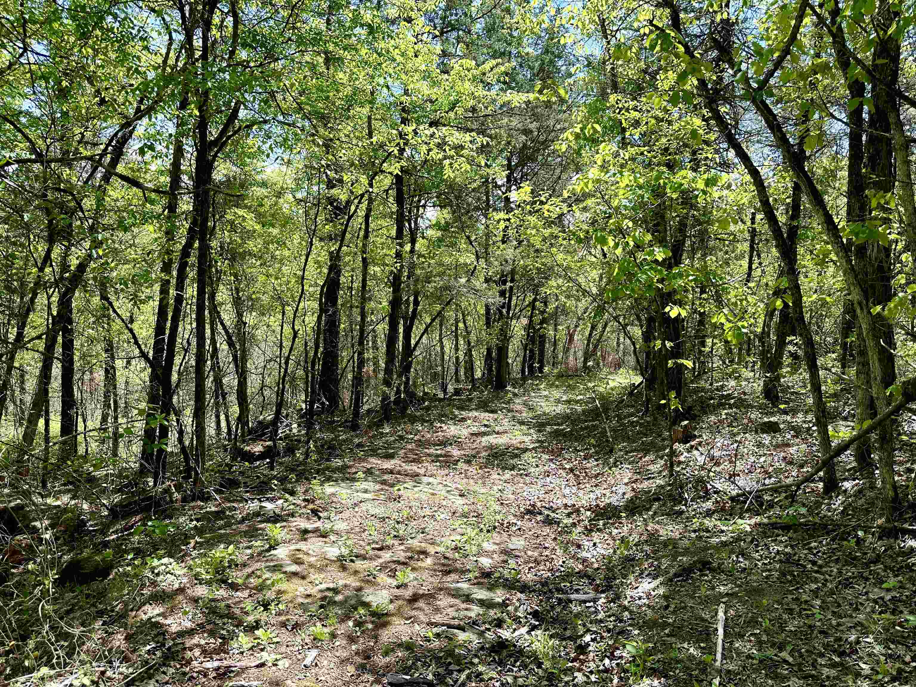 000 N Boswell Road  Calico Rock, AR