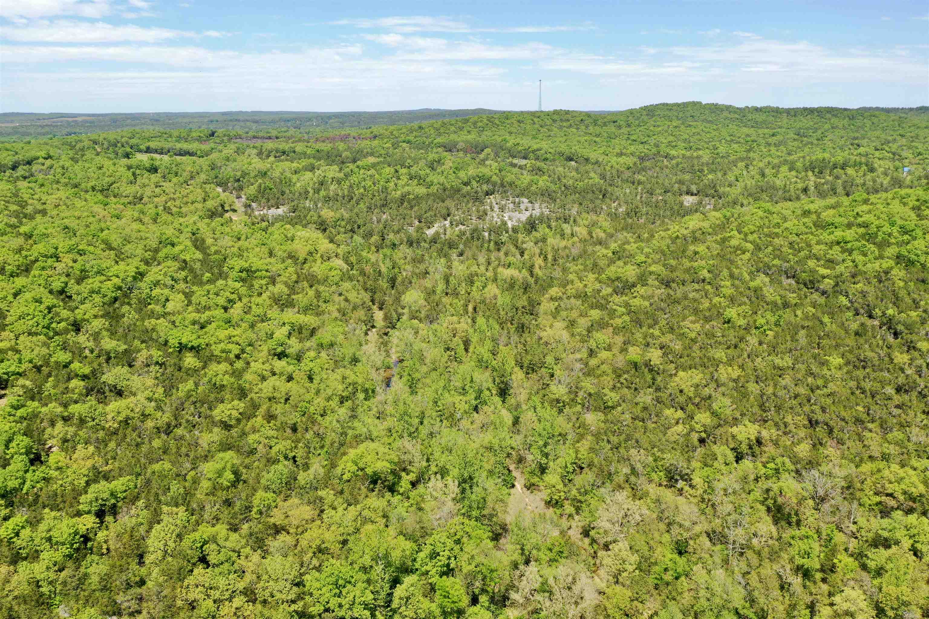 000 N Boswell Road  Calico Rock, AR
