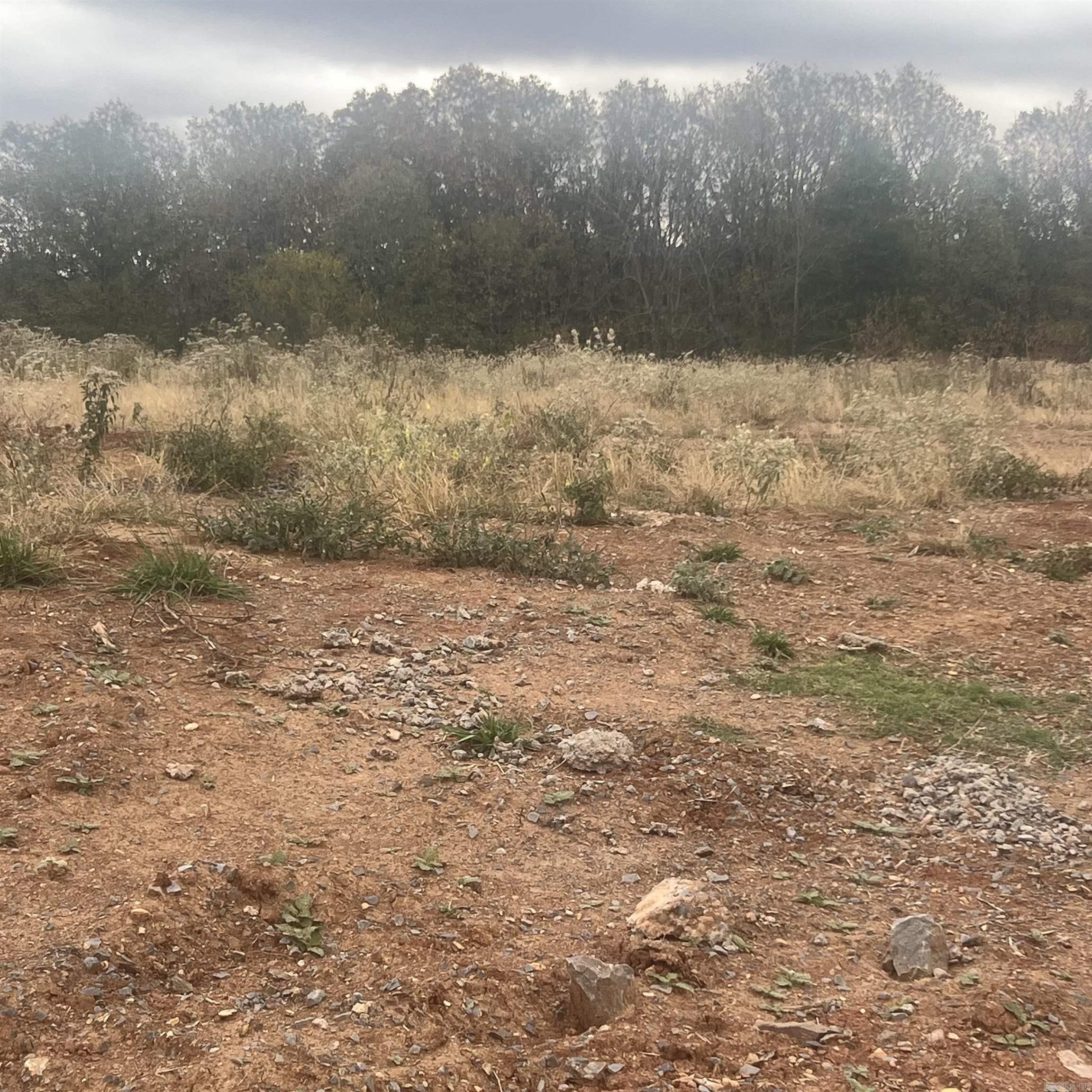 523 Corondelet Lane  Maumelle, AR