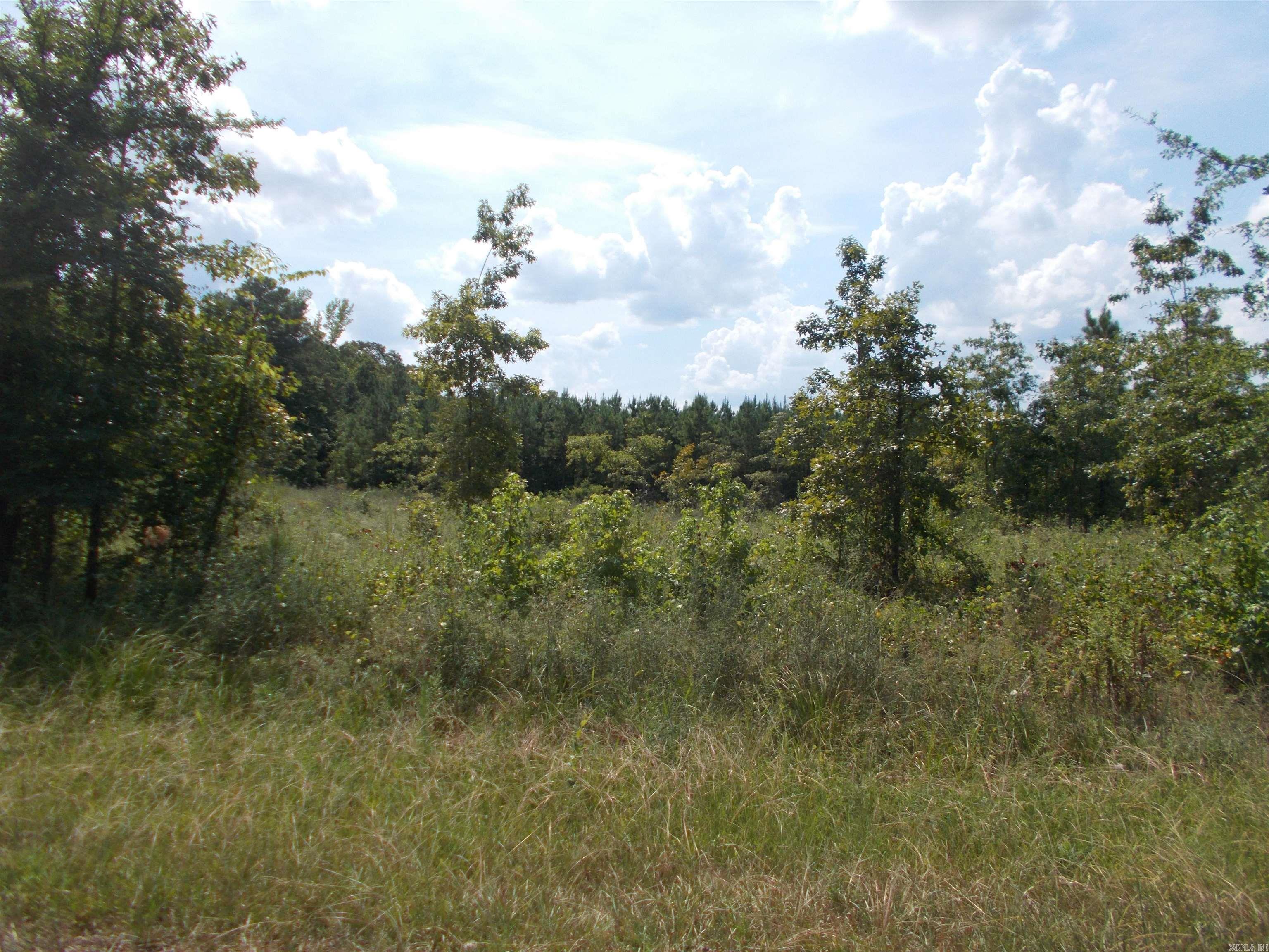 1705 Grant 53  Sheridan, AR