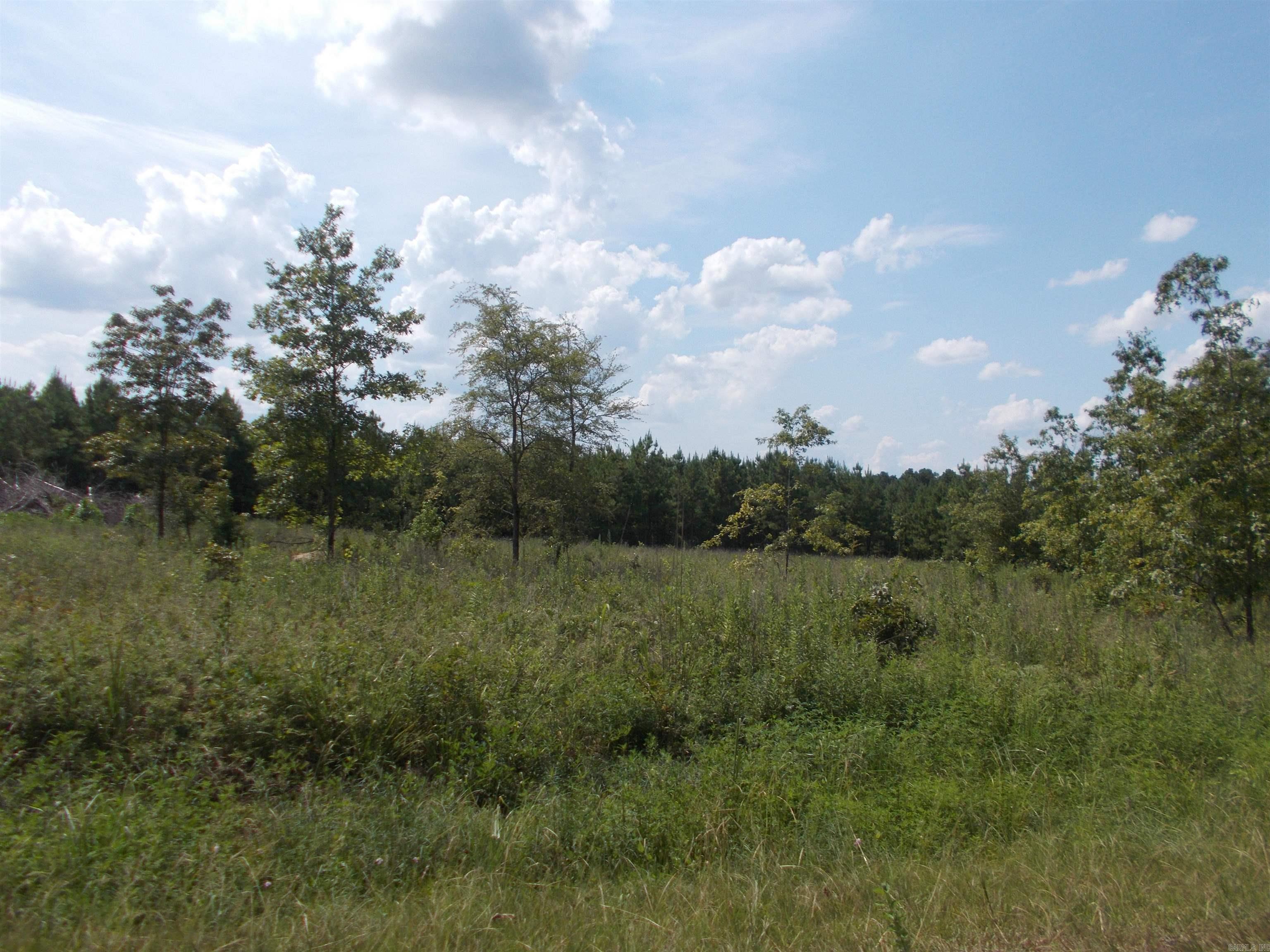 1705 Grant 53  Sheridan, AR