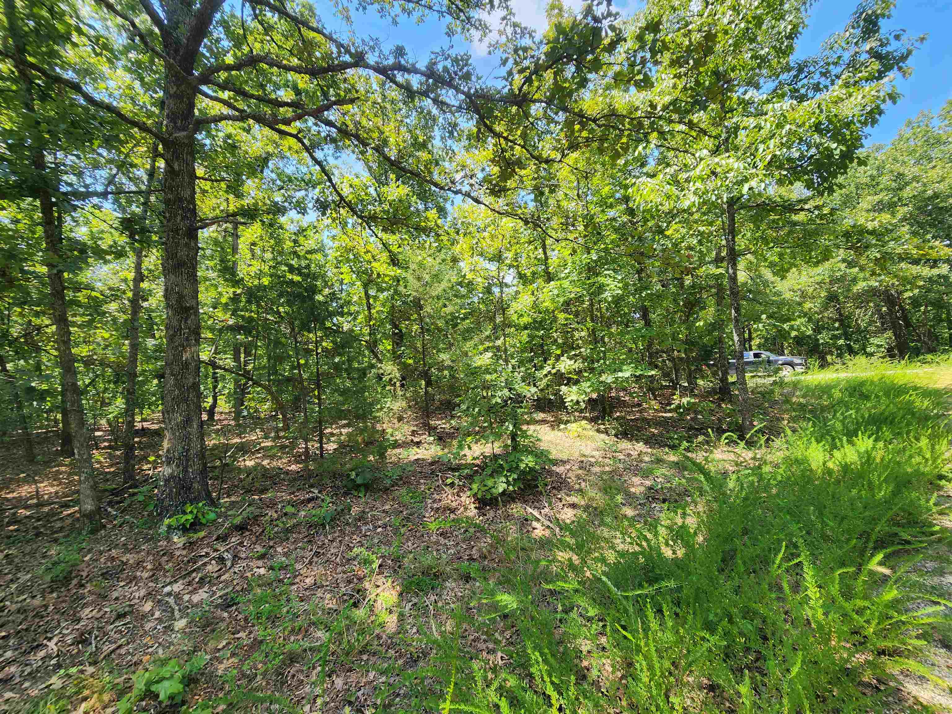 L-1,2,3, B-19 Nicatouse  Cherokee Village, AR