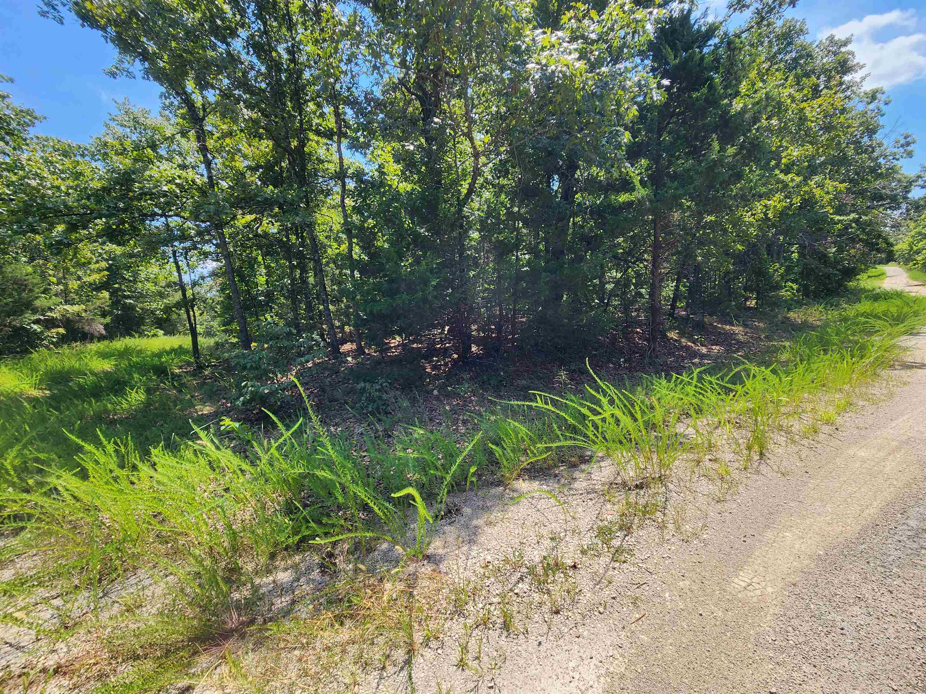 L-1,2,3, B-19 Nicatouse  Cherokee Village, AR