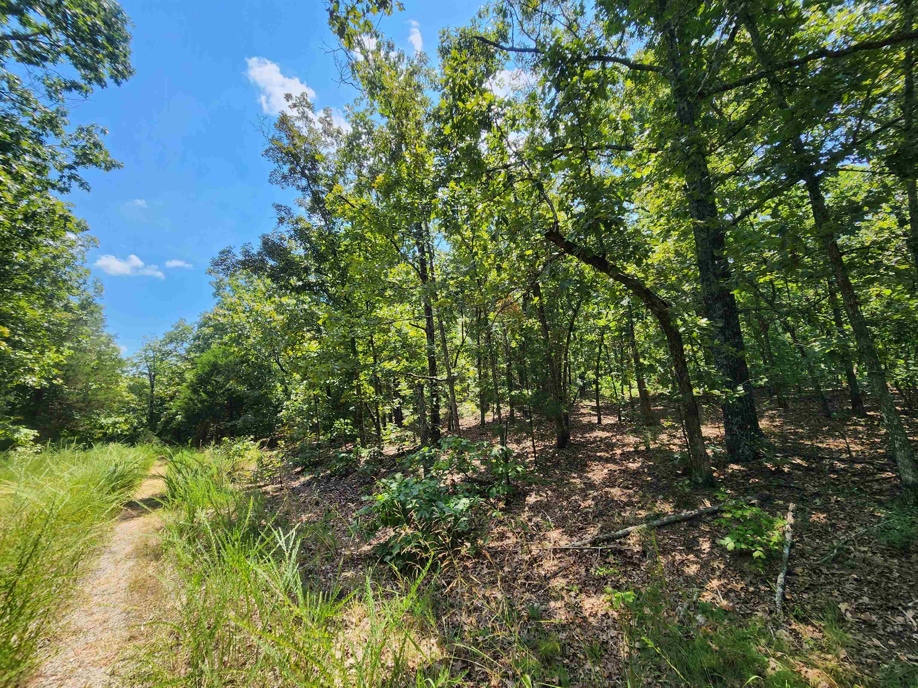 L-1,2,3, B-19 Nicatouse  Cherokee Village, AR