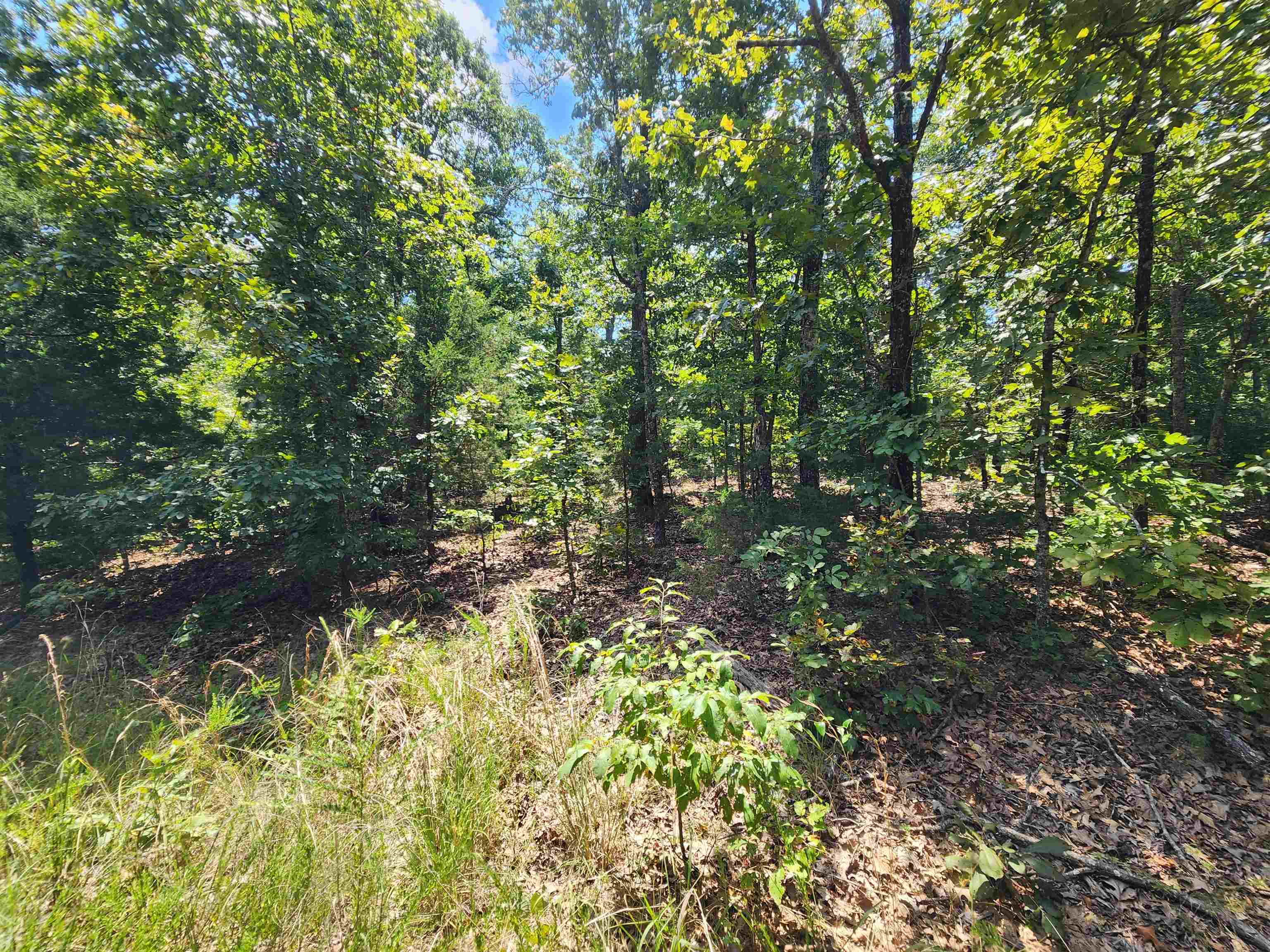 L-1,2,3, B-19 Nicatouse  Cherokee Village, AR