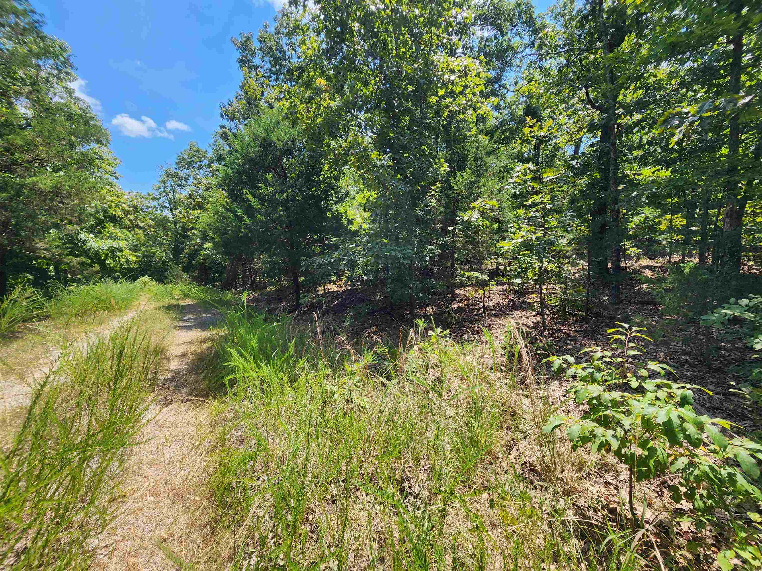 L-1,2,3, B-19 Nicatouse  Cherokee Village, AR