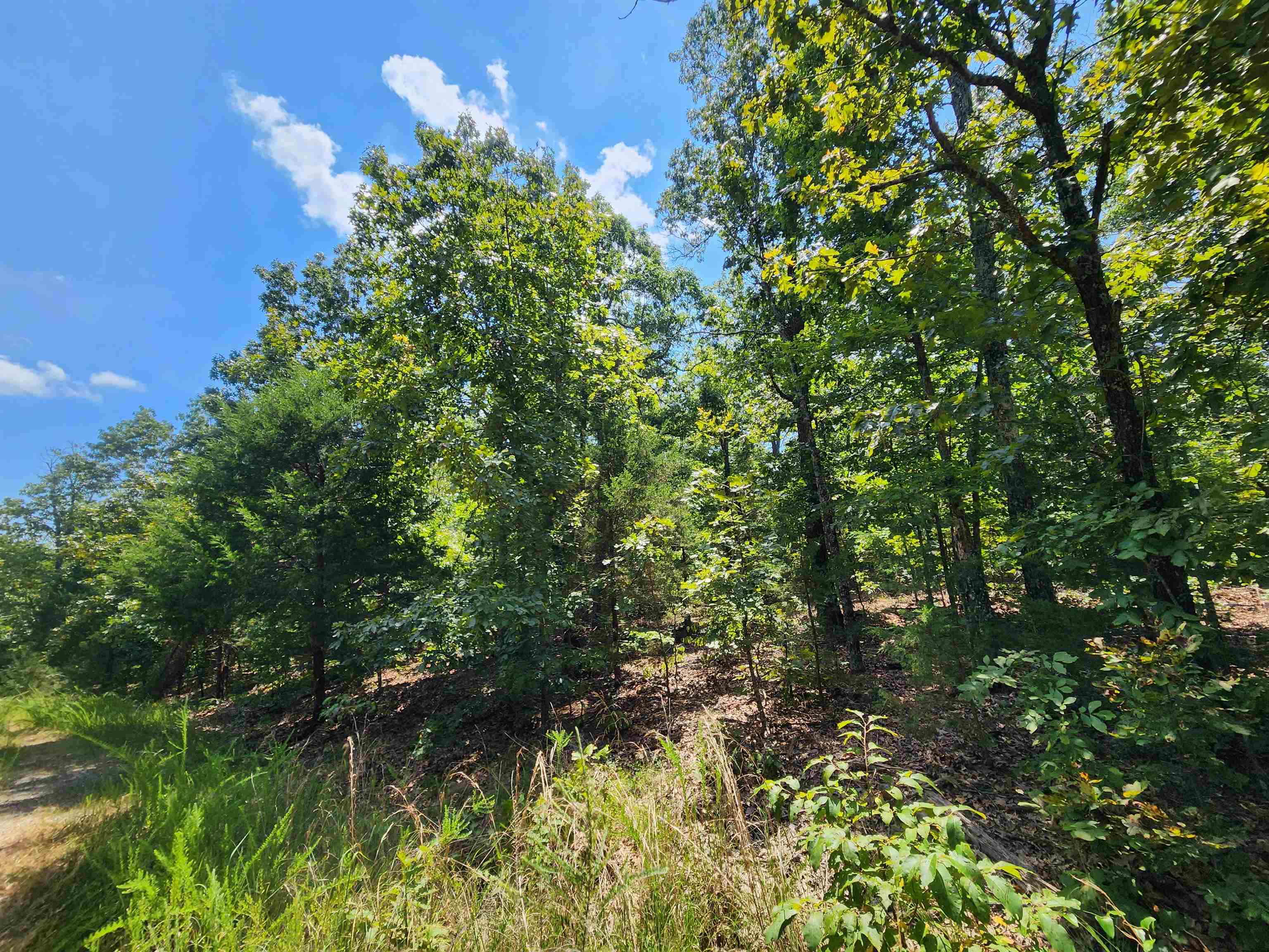 L-1,2,3, B-19 Nicatouse  Cherokee Village, AR