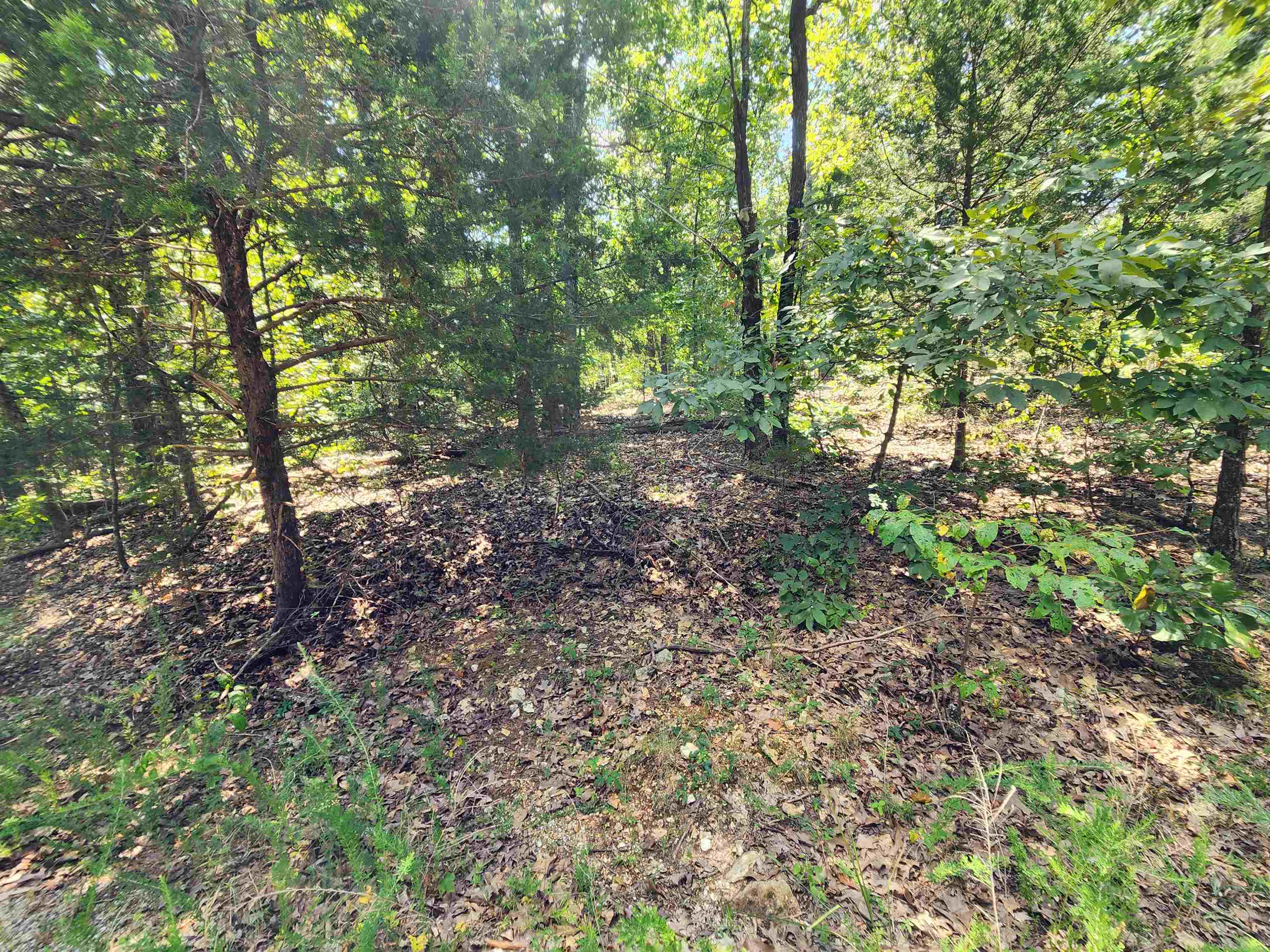 L-1,2,3, B-19 Nicatouse  Cherokee Village, AR