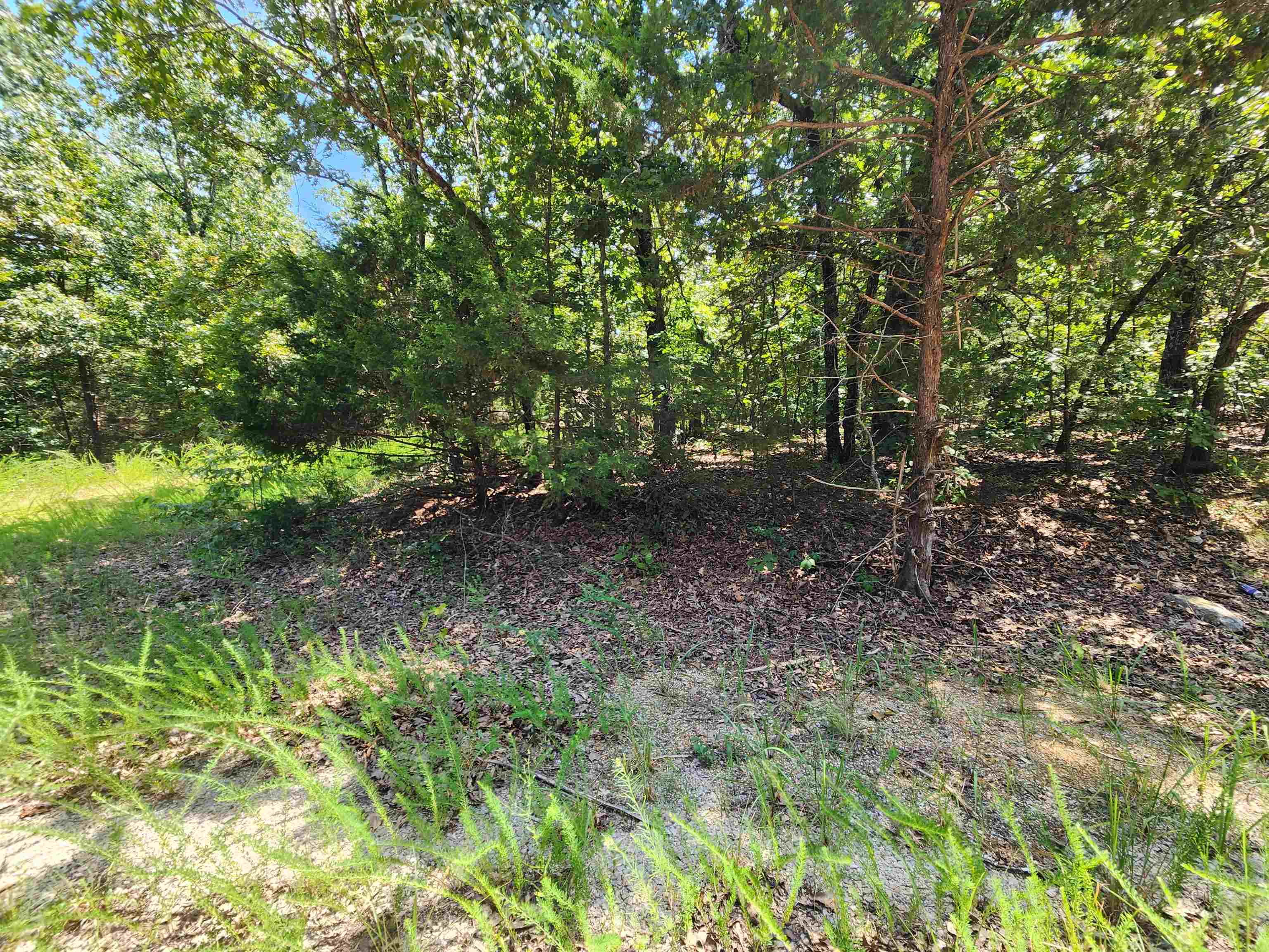 L-1,2,3, B-19 Nicatouse  Cherokee Village, AR