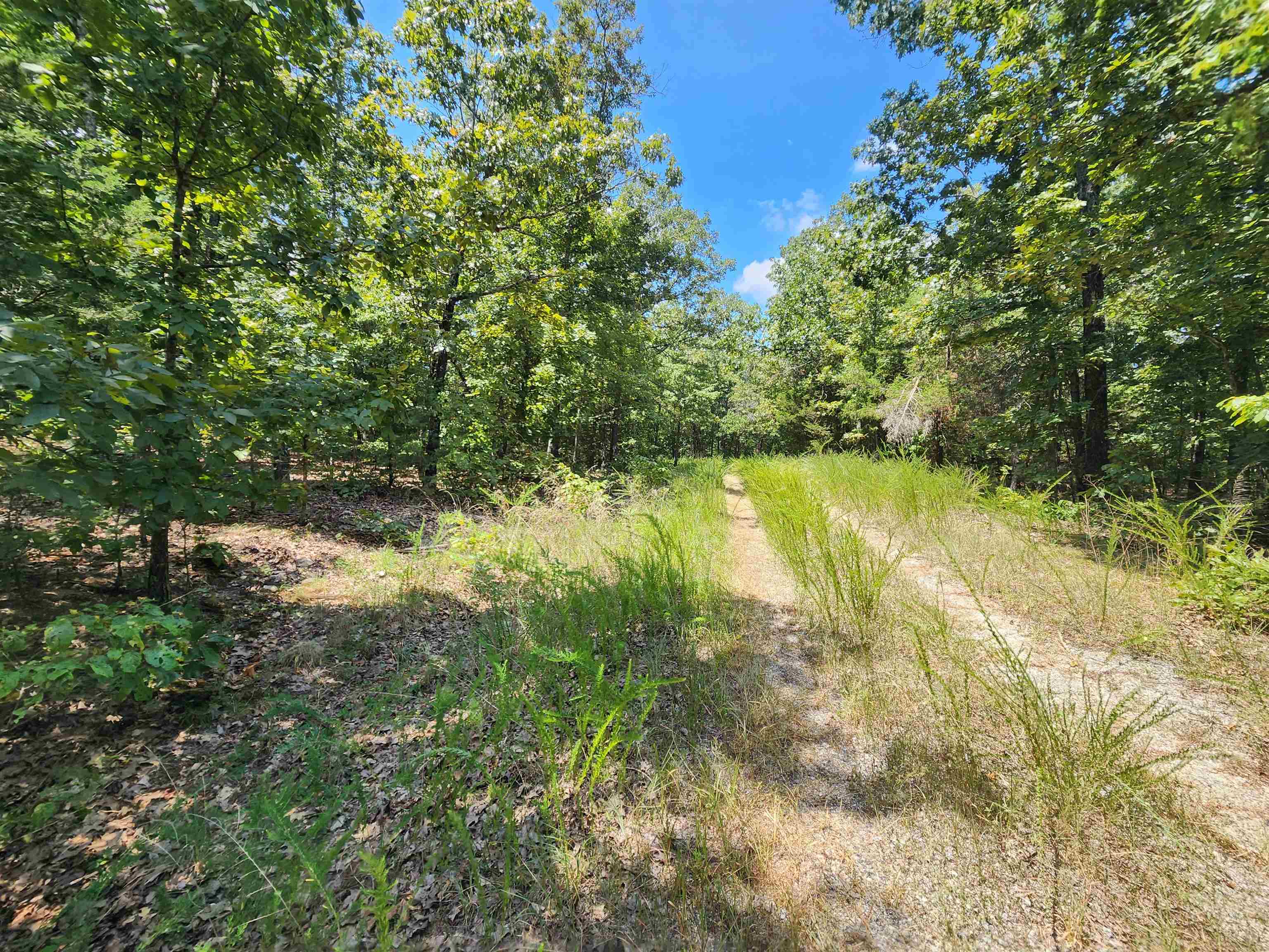 L-1,2,3, B-19 Nicatouse  Cherokee Village, AR