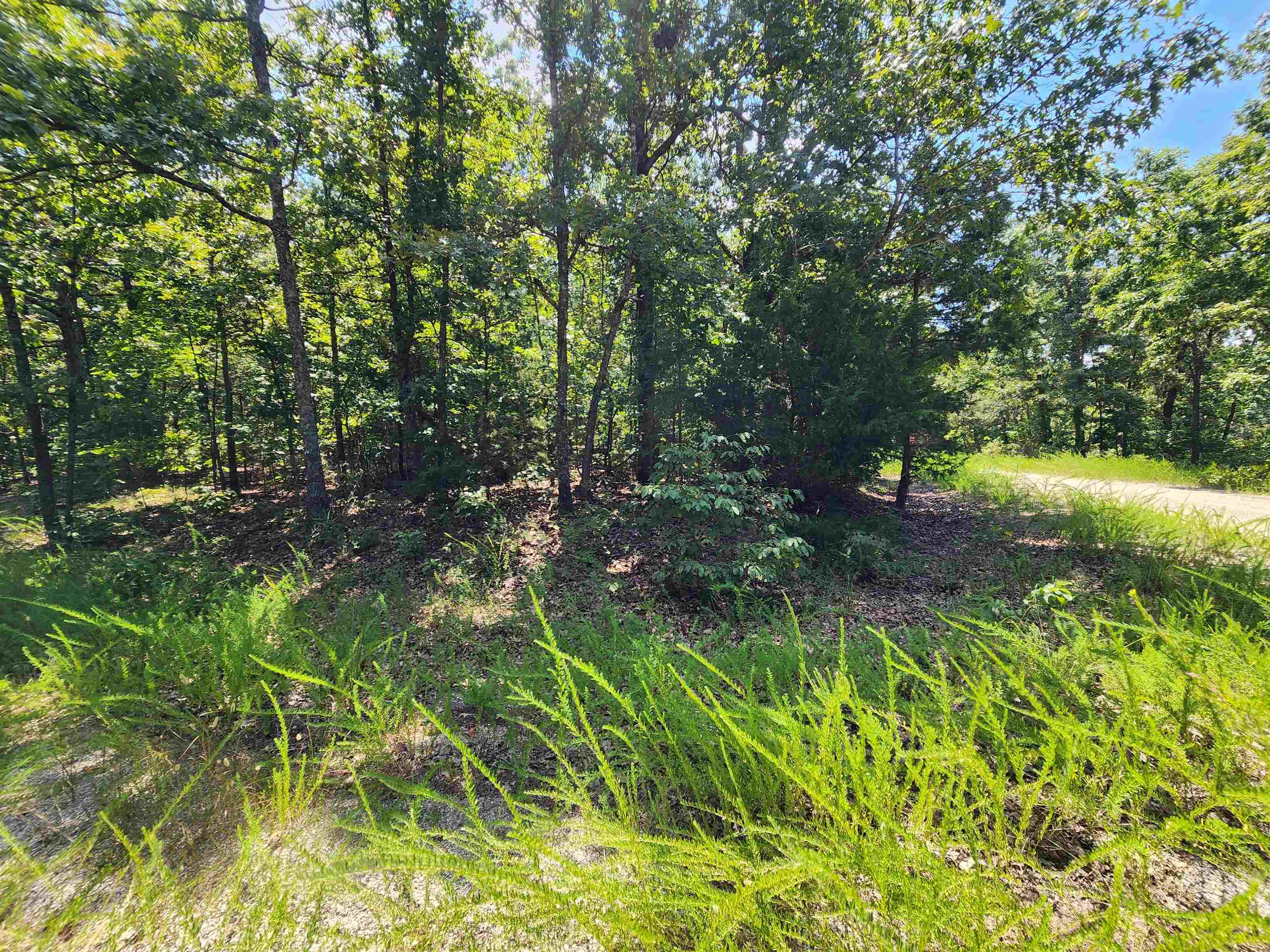 L-1,2,3, B-19 Nicatouse  Cherokee Village, AR