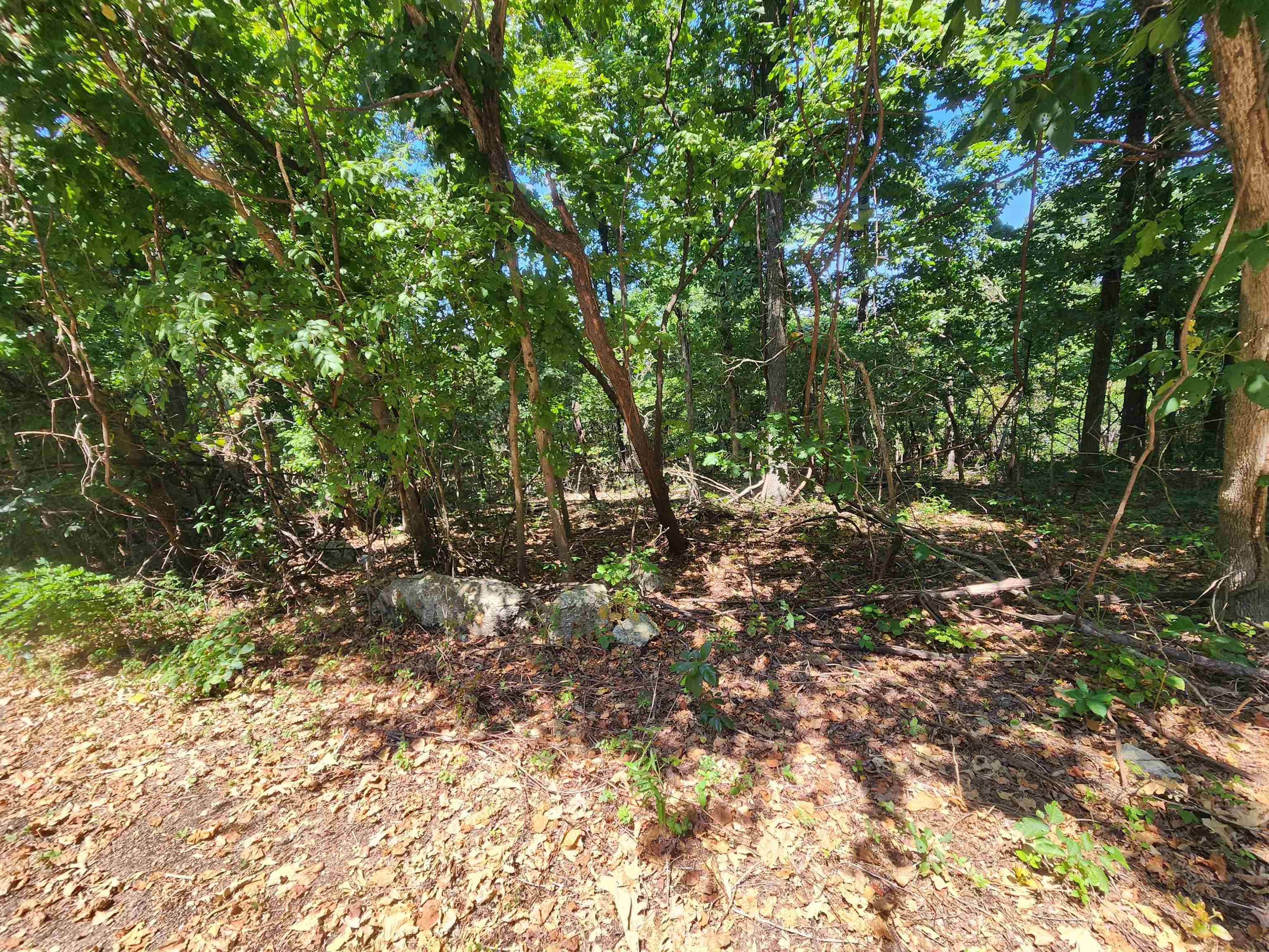 L28, B6 Zia  Cherokee Village, AR
