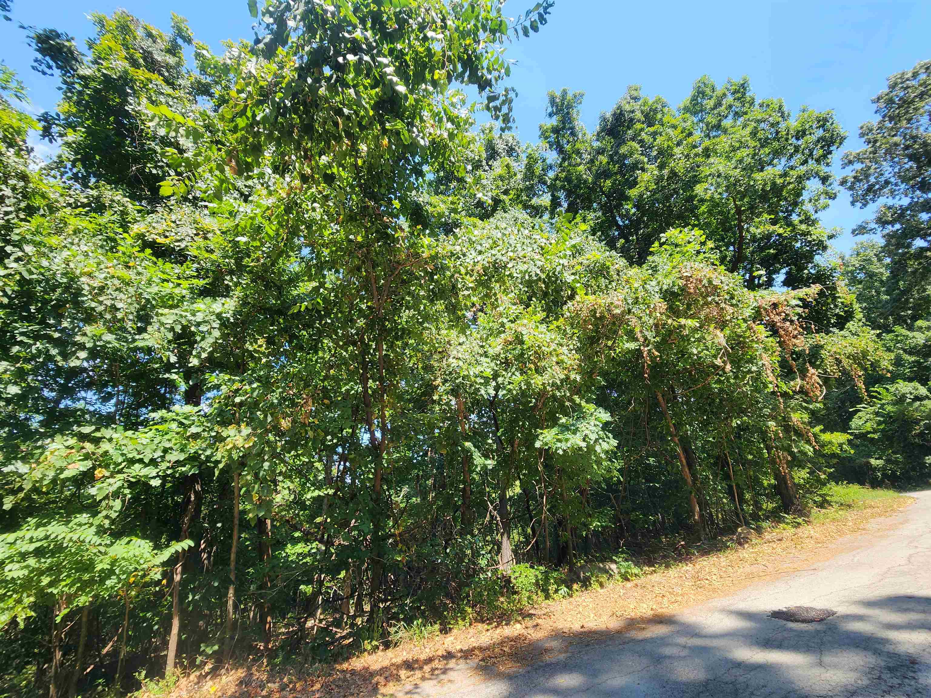 L28, B6 Zia  Cherokee Village, AR