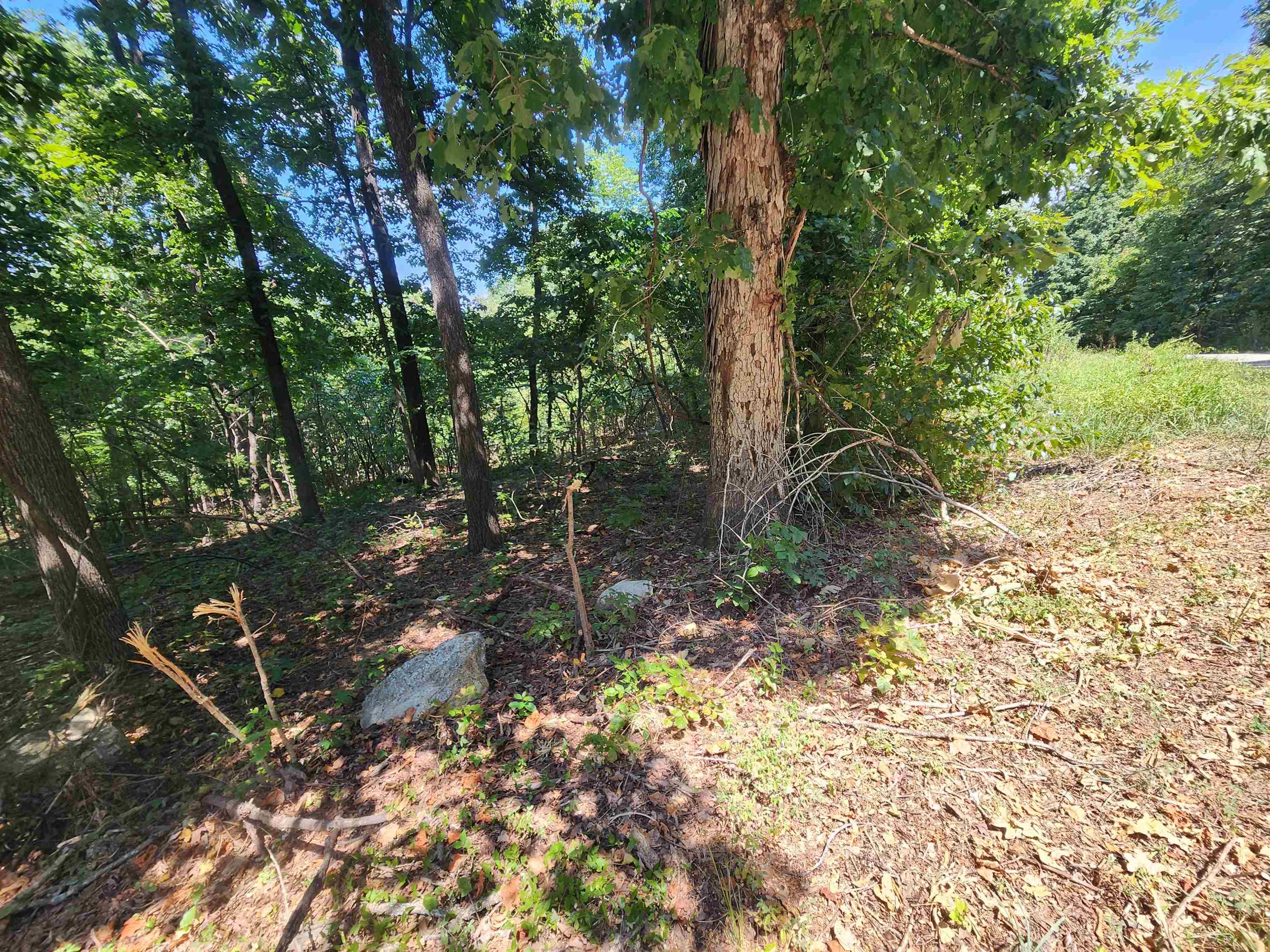 L28, B6 Zia  Cherokee Village, AR