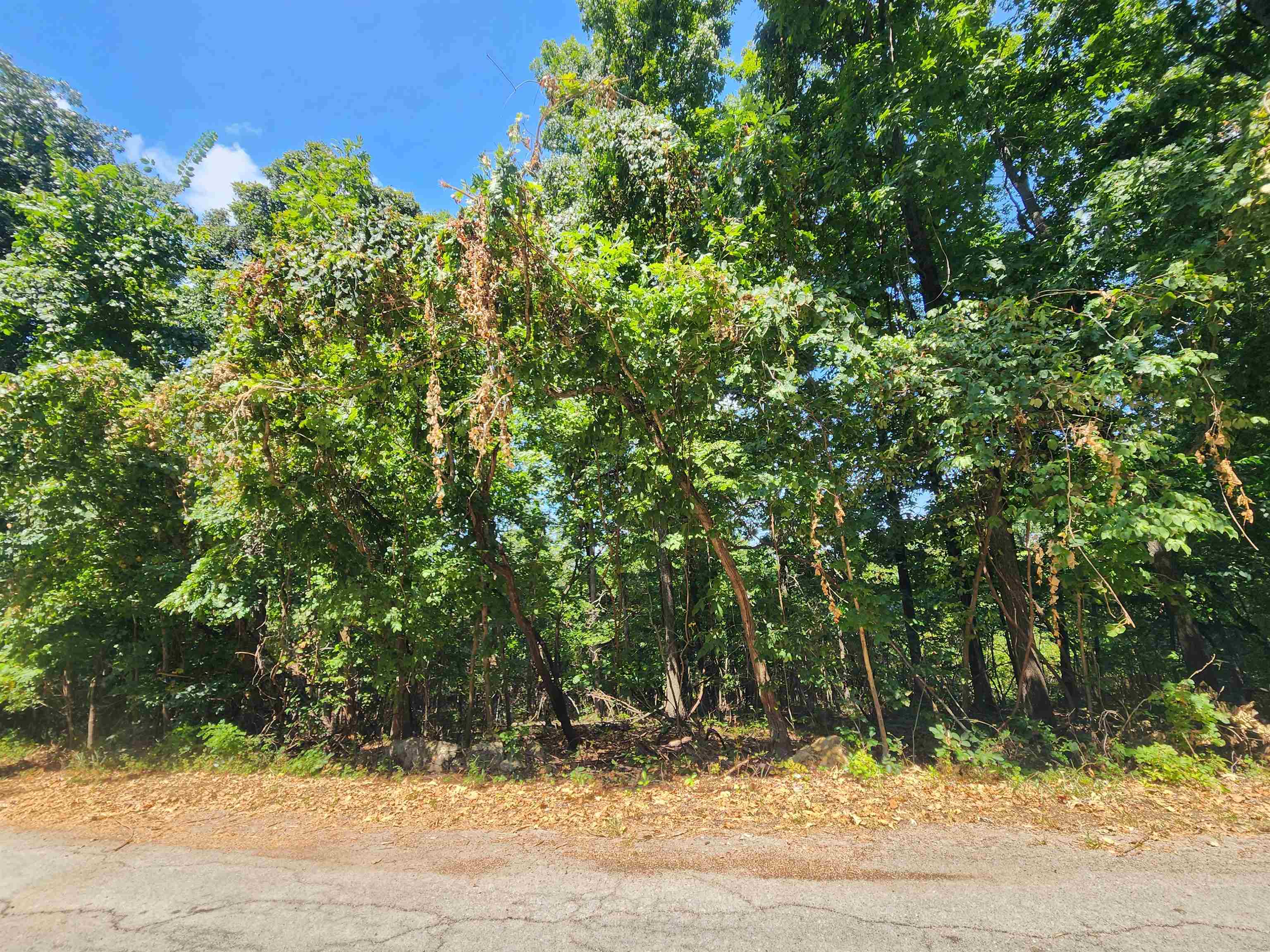 L28, B6 Zia  Cherokee Village, AR