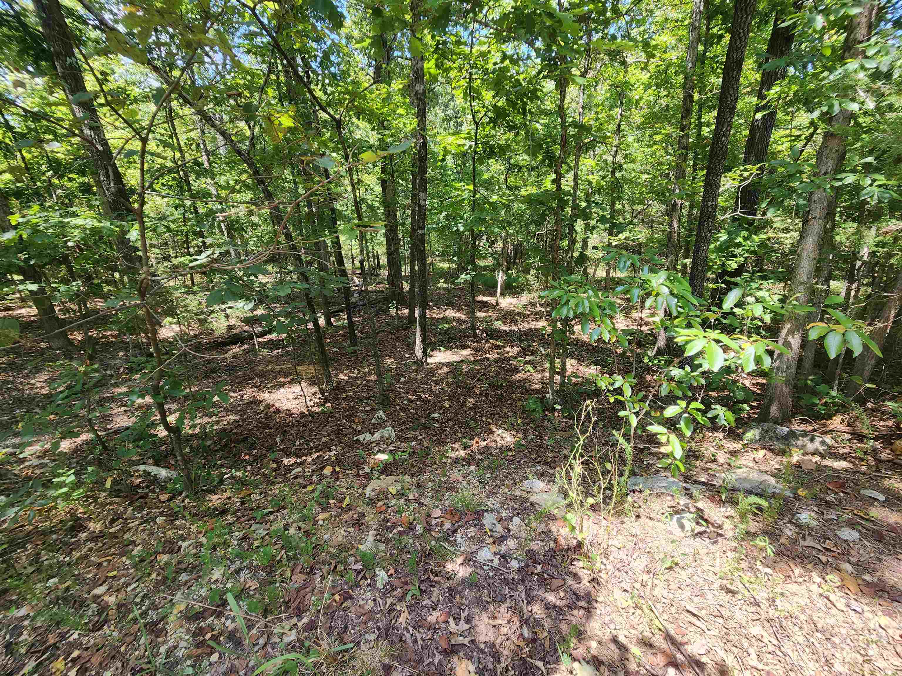 L-13, B-6 Calumet  Cherokee Village, AR