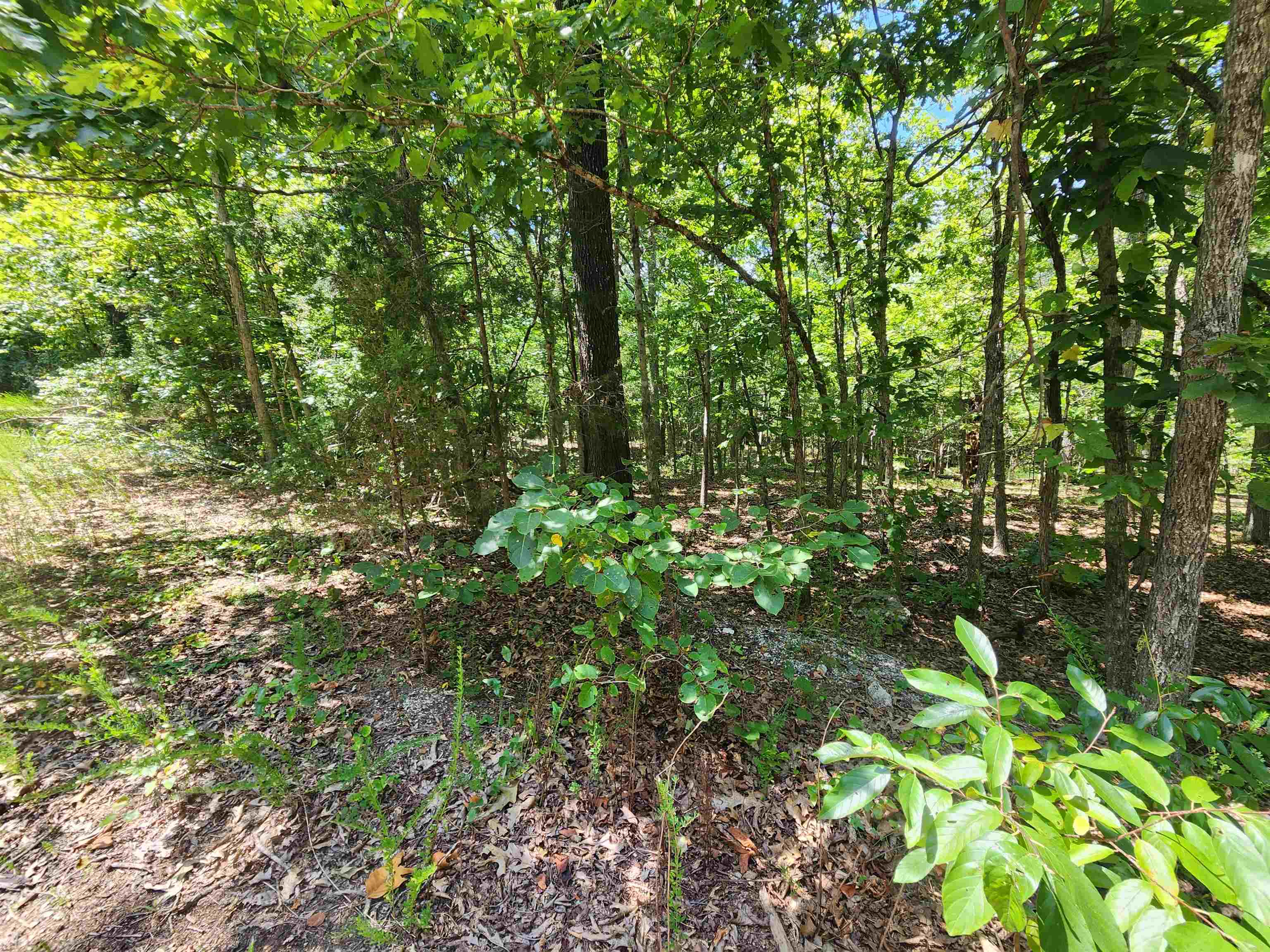 L-13, B-6 Calumet  Cherokee Village, AR