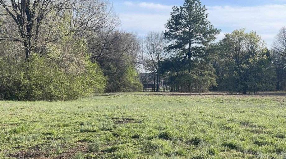 507 Bruce Street  Conway, AR
