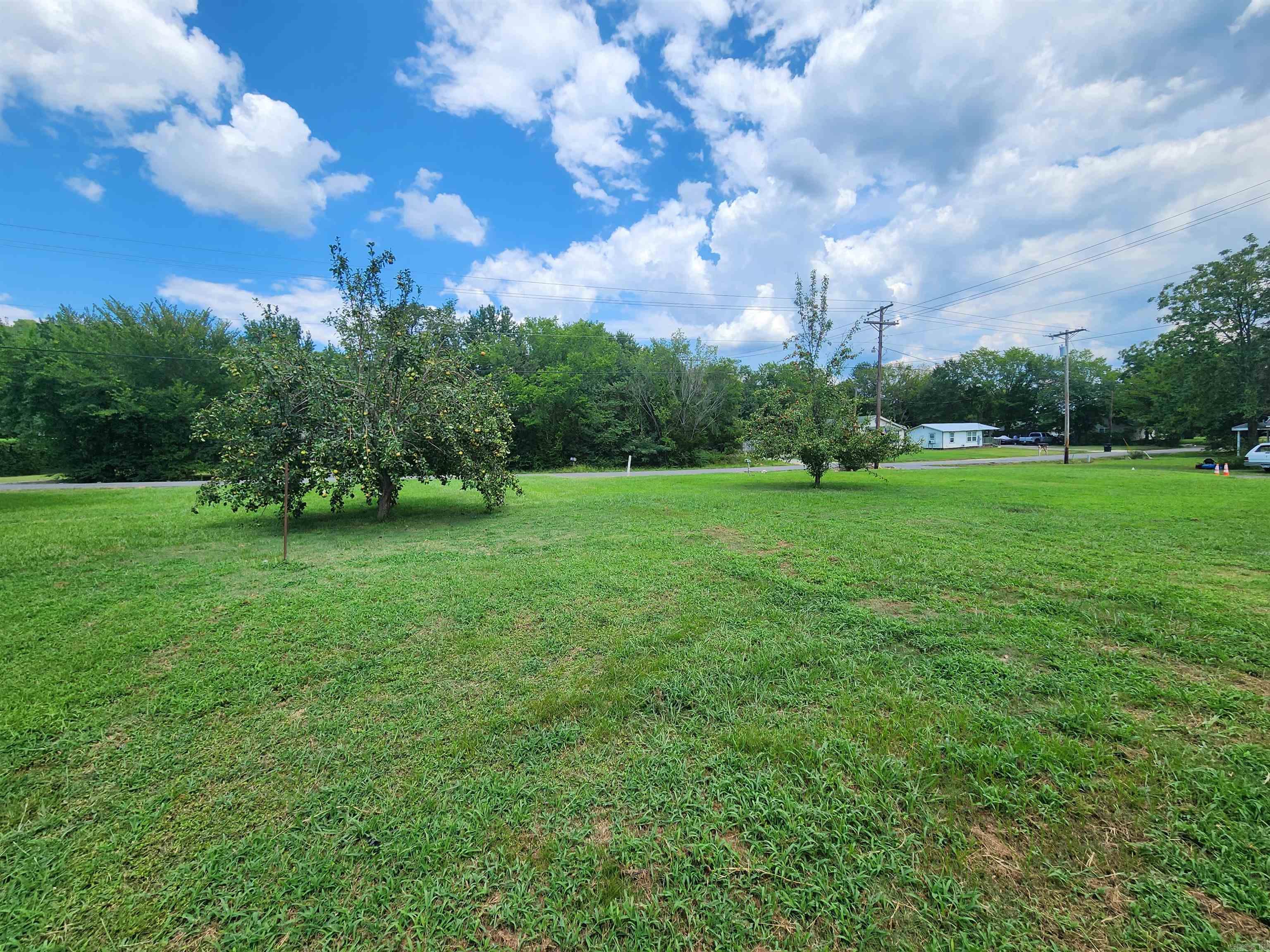 201 Church Ave Mena, AR 71953
