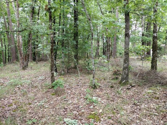 10 Telon  Hot Springs Village, AR