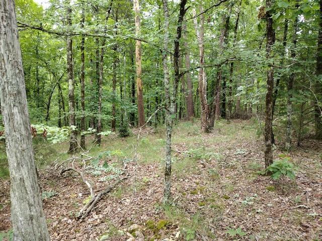 10 Telon  Hot Springs Village, AR