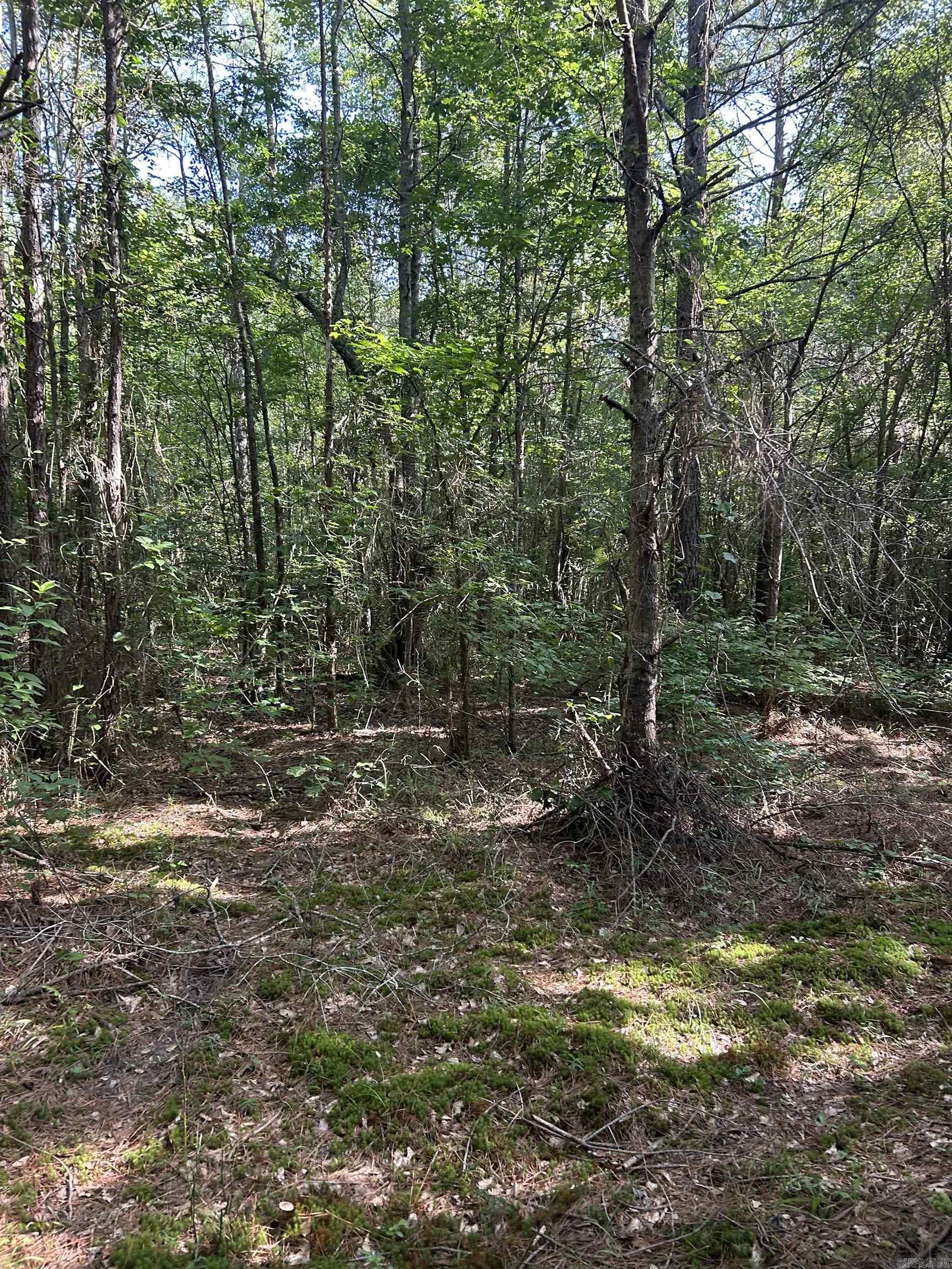 TBD Hempstead 14  Washington, AR