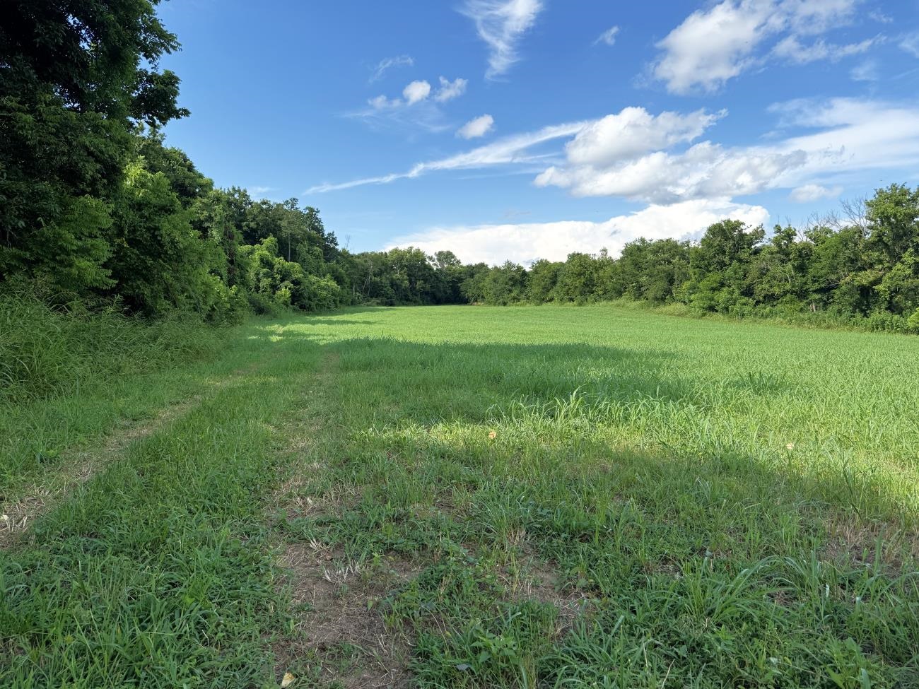 00 Highway 63  Hardy, AR