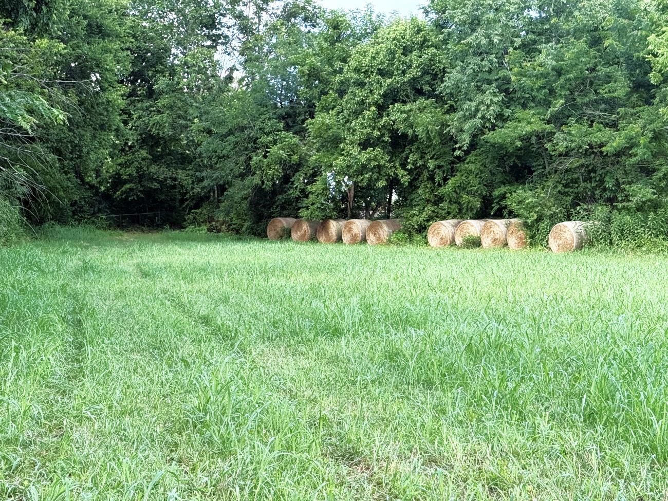 00 Highway 63  Hardy, AR