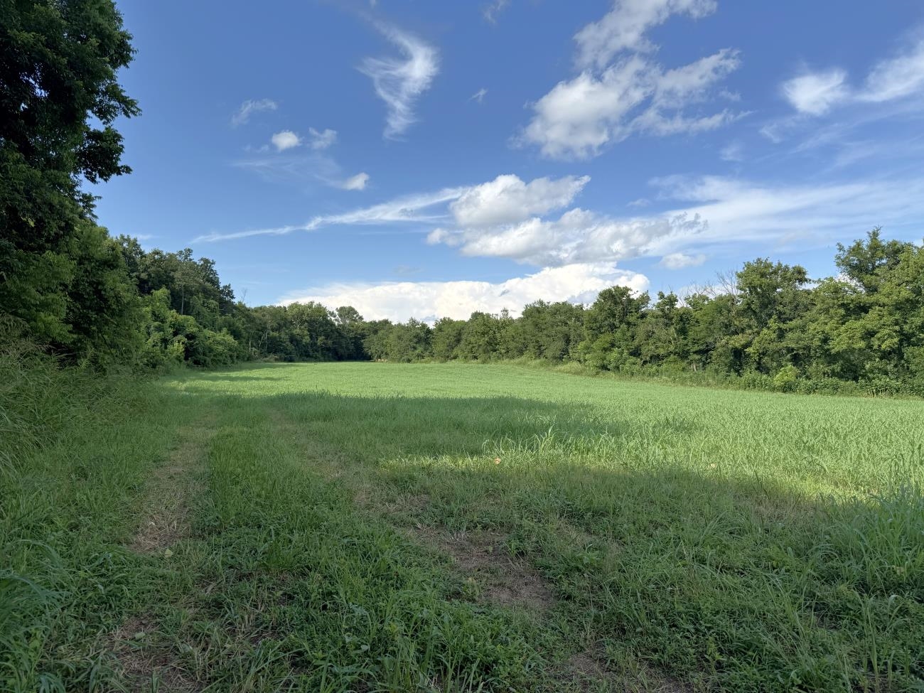 00 Highway 63  Hardy, AR
