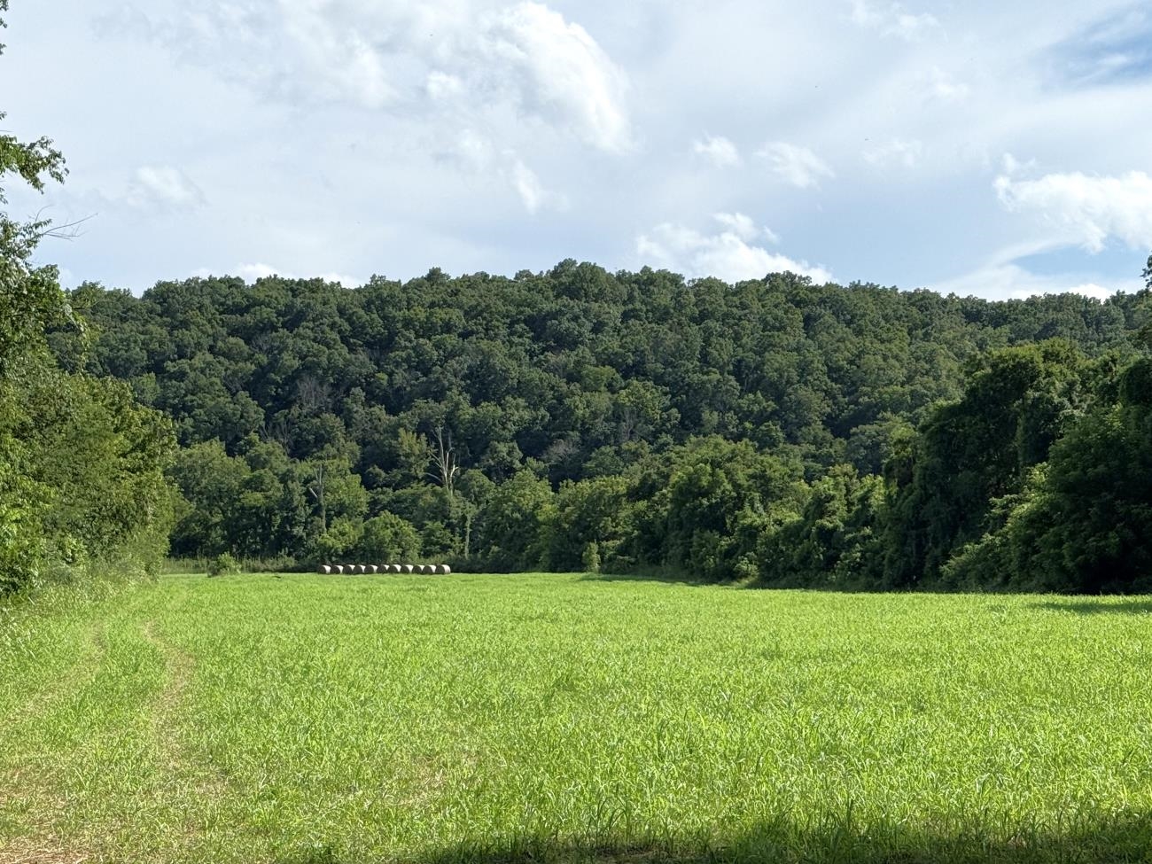 00 Highway 63  Hardy, AR