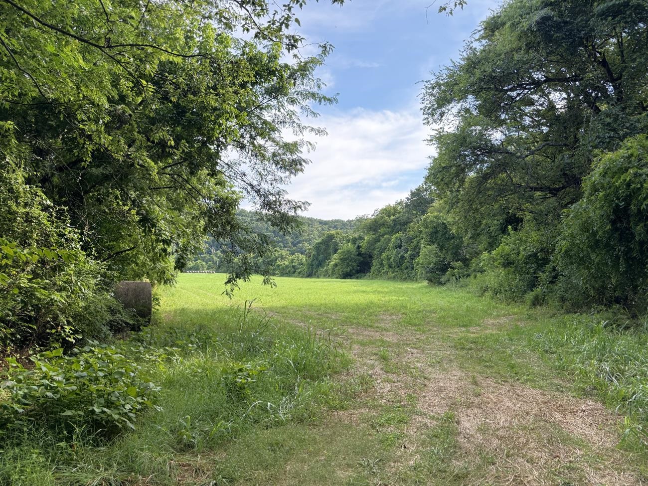 00 Highway 63  Hardy, AR