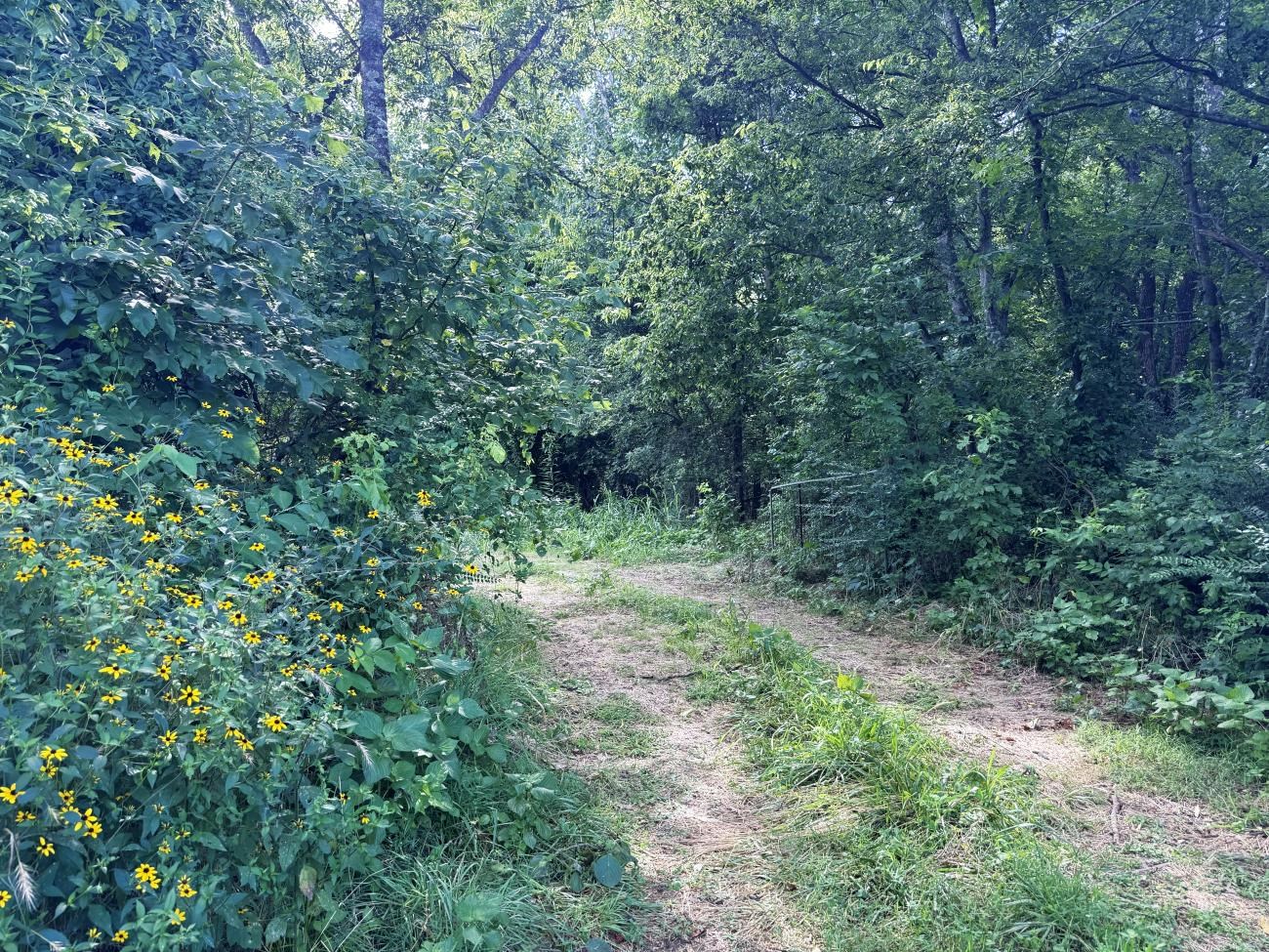 00 Highway 63  Hardy, AR