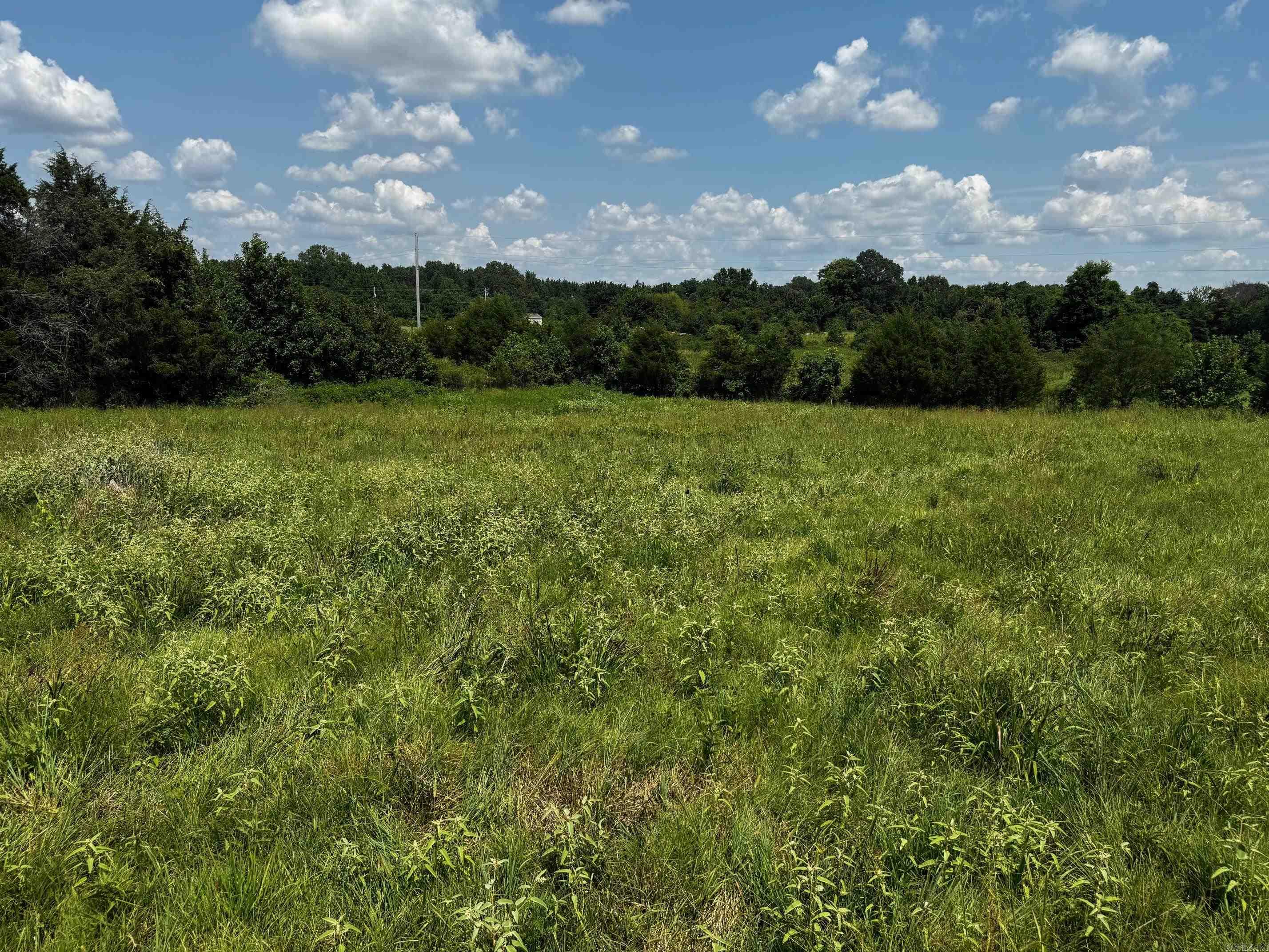 4616 CR 745  Jonesboro, AR