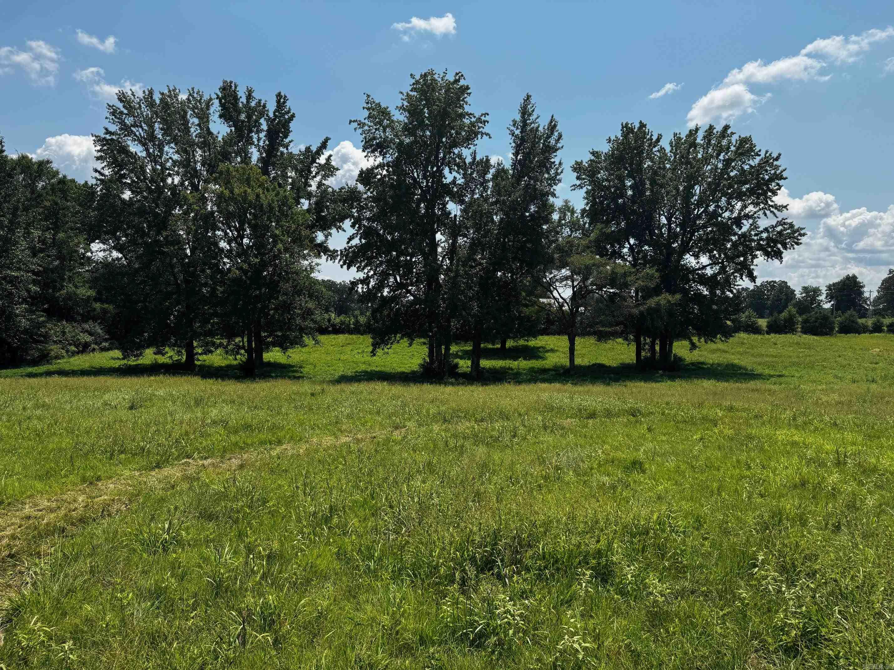 4616 CR 745  Jonesboro, AR