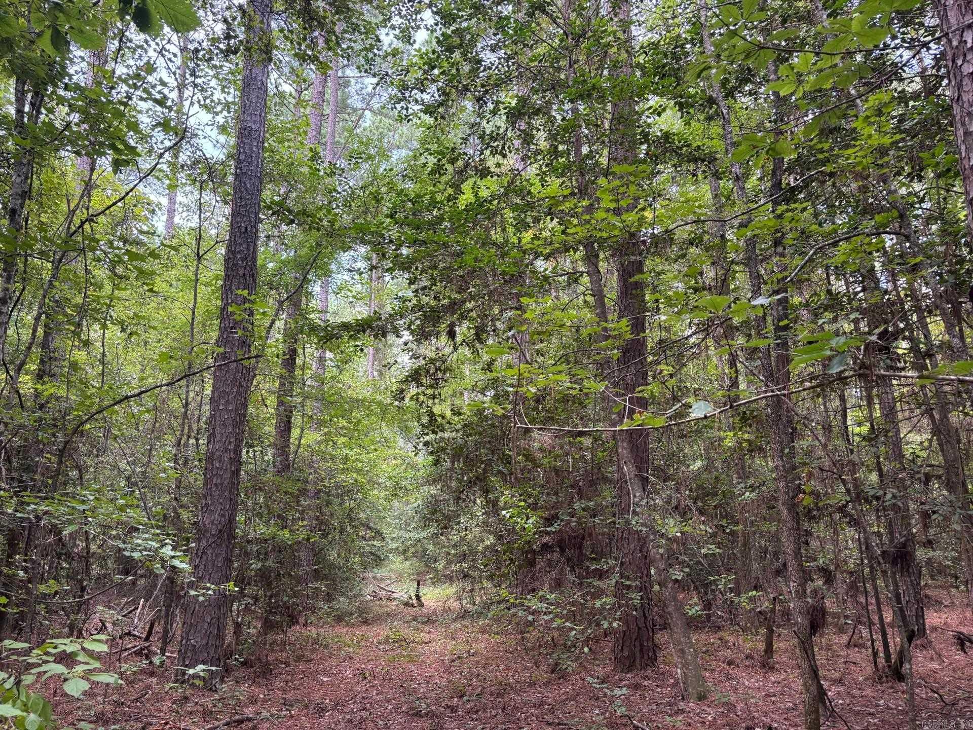 19-12s-16w Ouachita Co., AR  Camden, AR