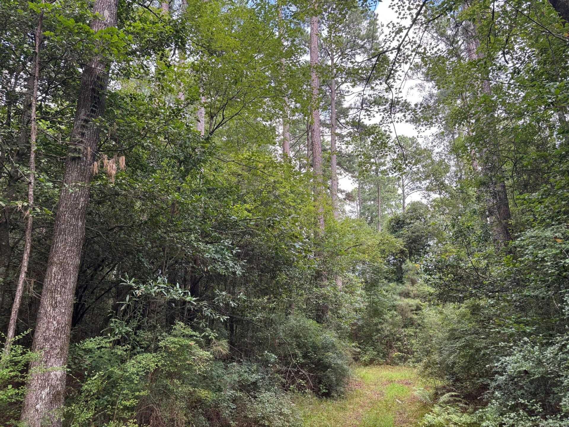19-12s-16w Ouachita Co., AR  Camden, AR