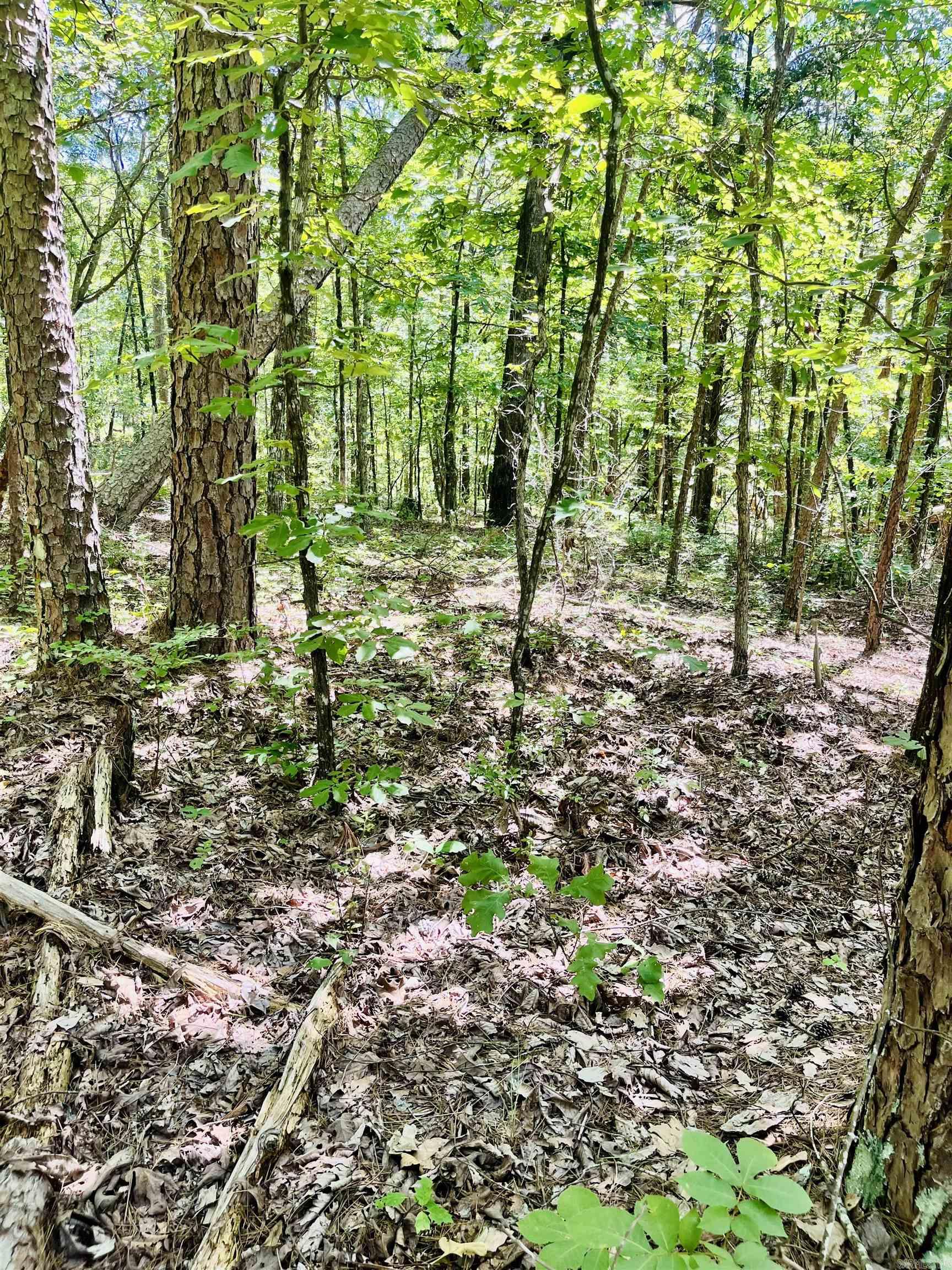 16 Pamplona  Hot Springs Village, AR