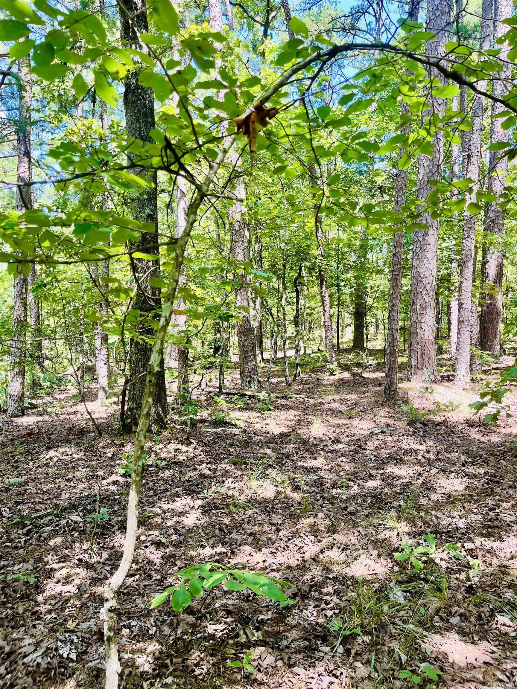 16 Pamplona  Hot Springs Village, AR