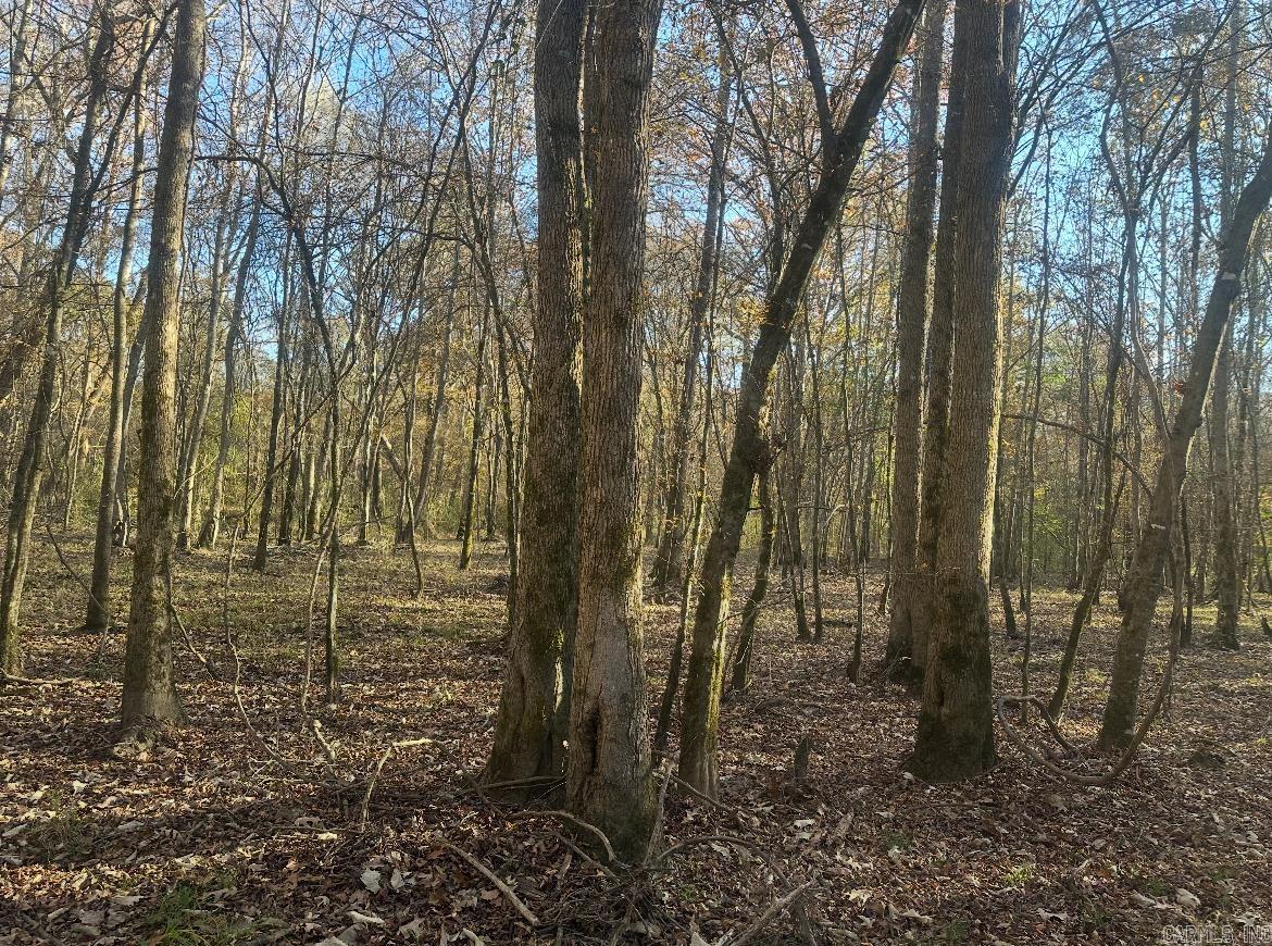 260910 Hollis Rd  Rison, AR