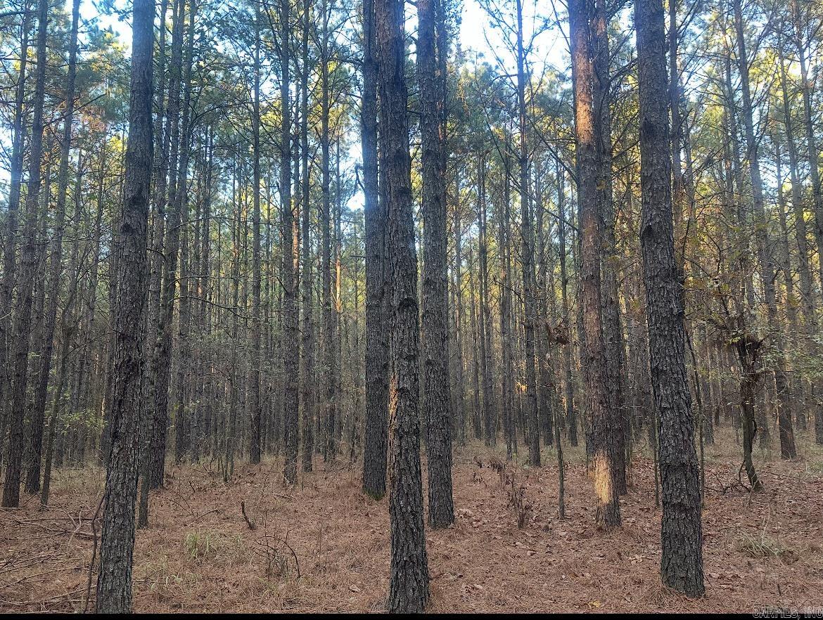 260910 Hollis Rd  Rison, AR