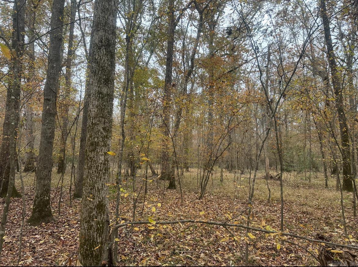 260910 Hollis Rd  Rison, AR