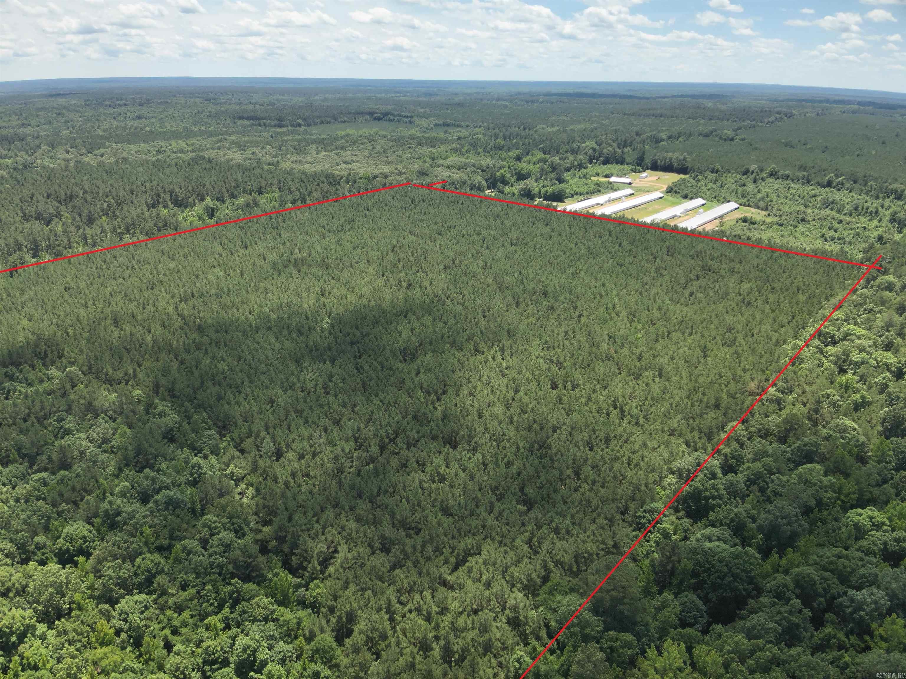 260910 Hollis Rd  Rison, AR