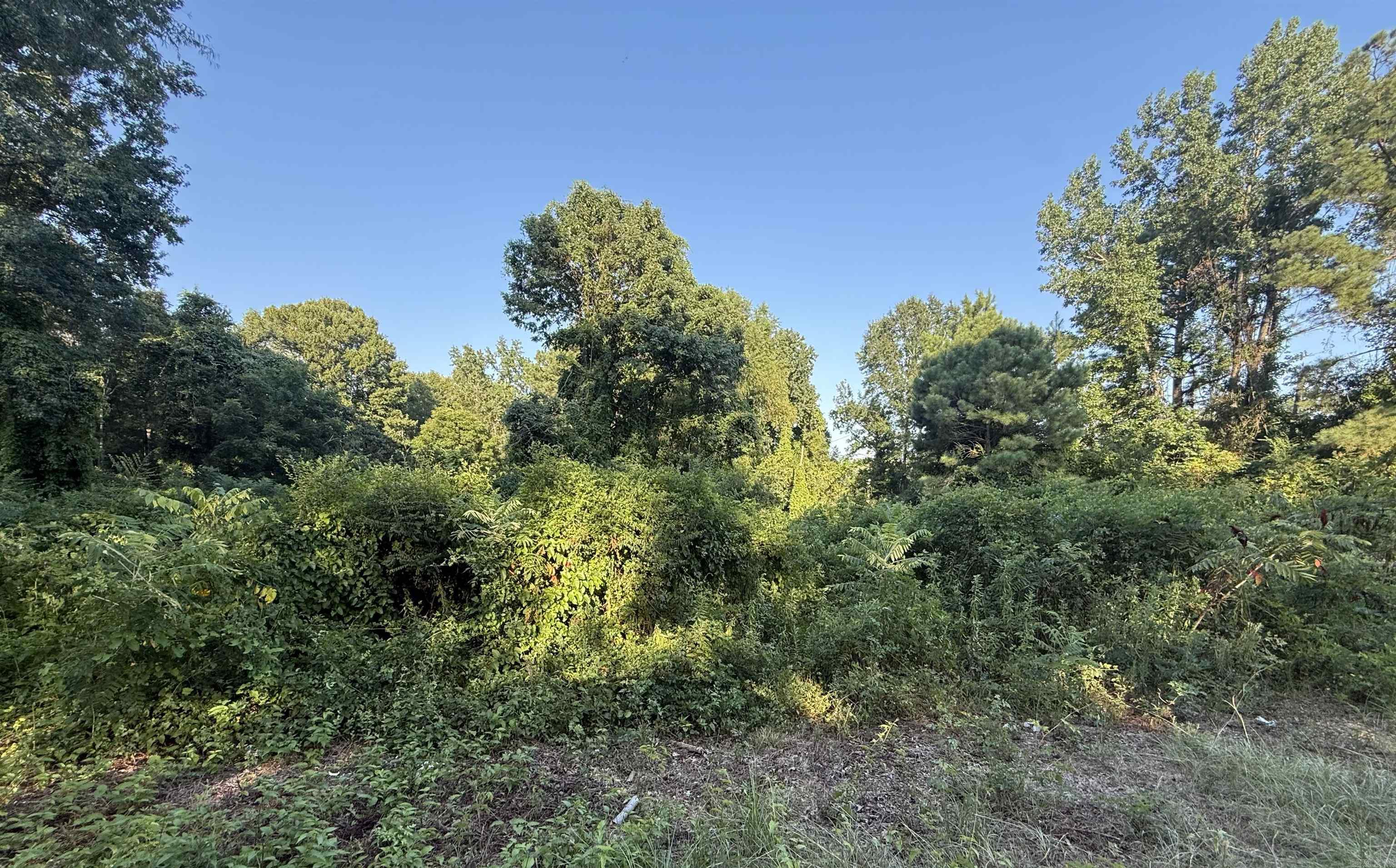18123 Pheasant  Little Rock, AR