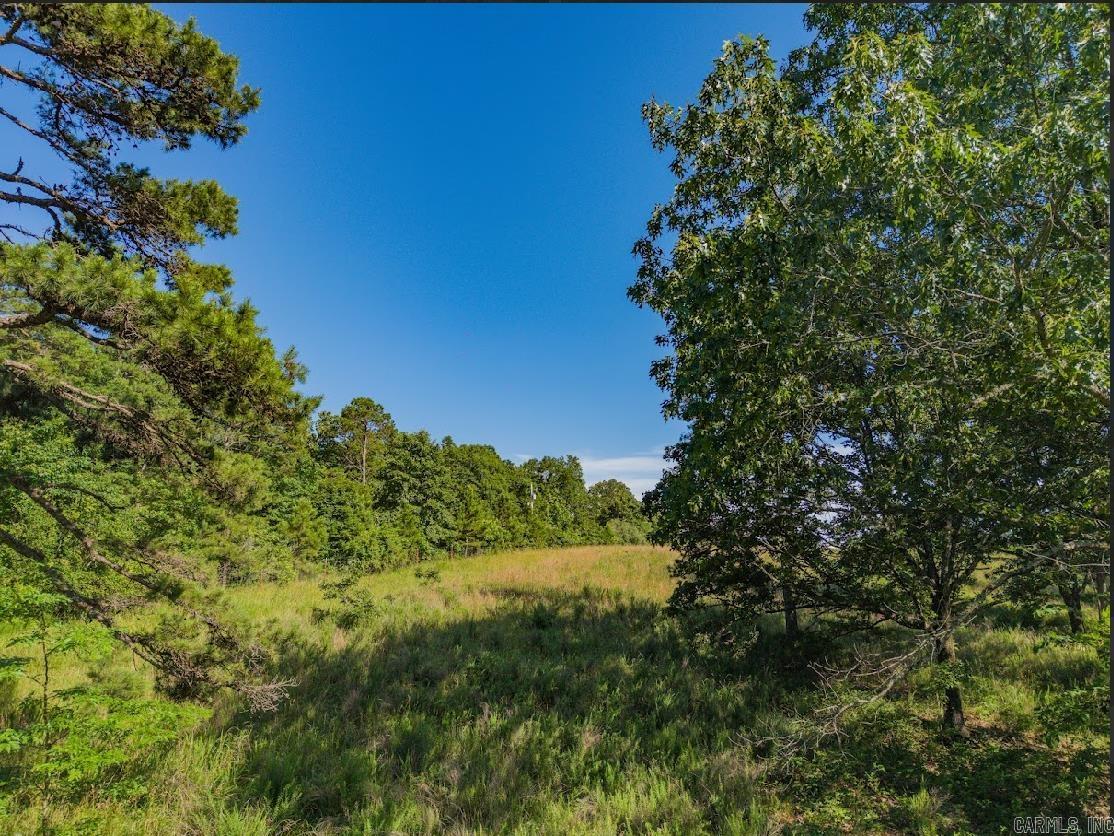 413 McElroy Road  Fox, AR